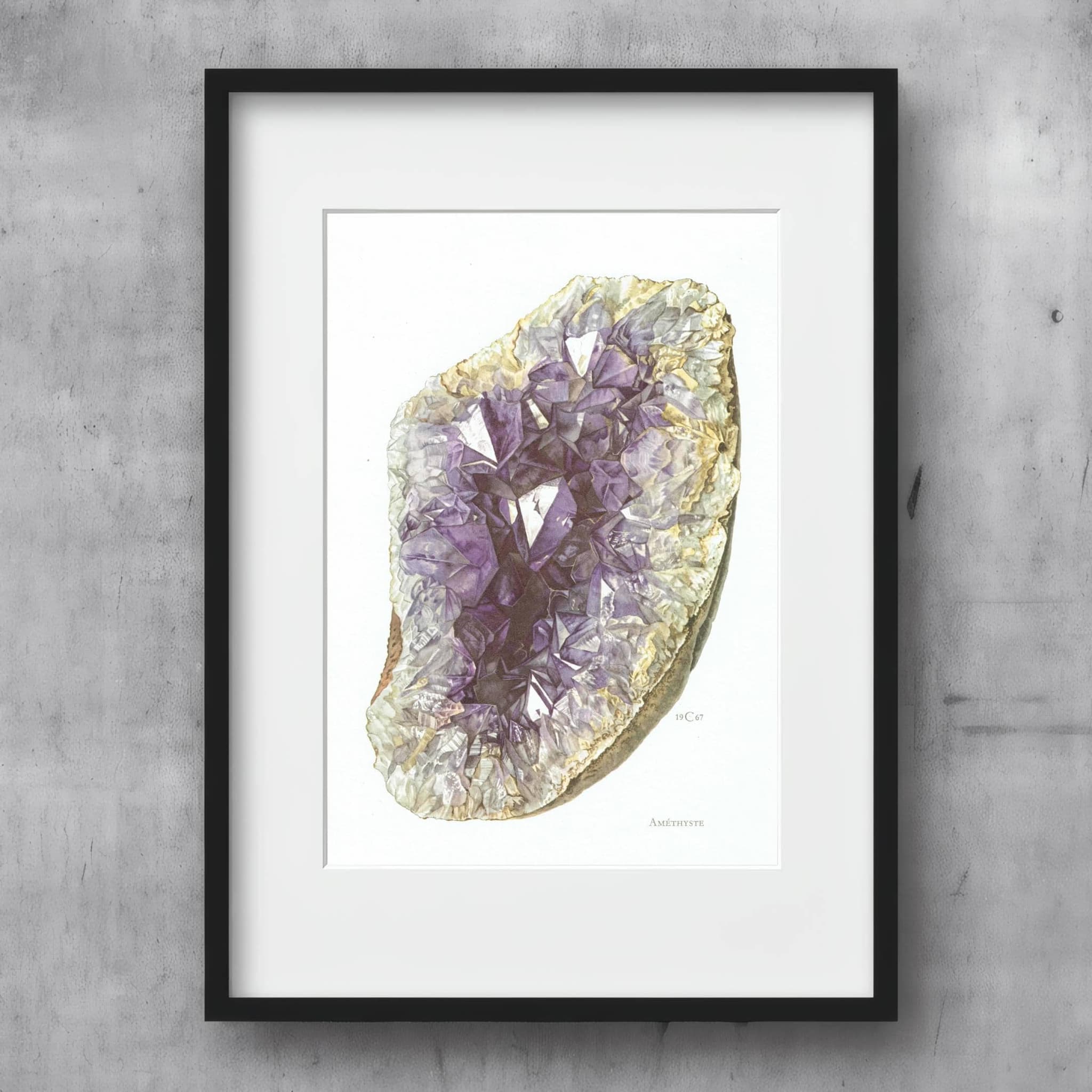 1969 Amethyst Geode - Original Vintage Print By Caspari - Mineral Study Scientific Natural History Geology Art - 7.5 x 10.5 in