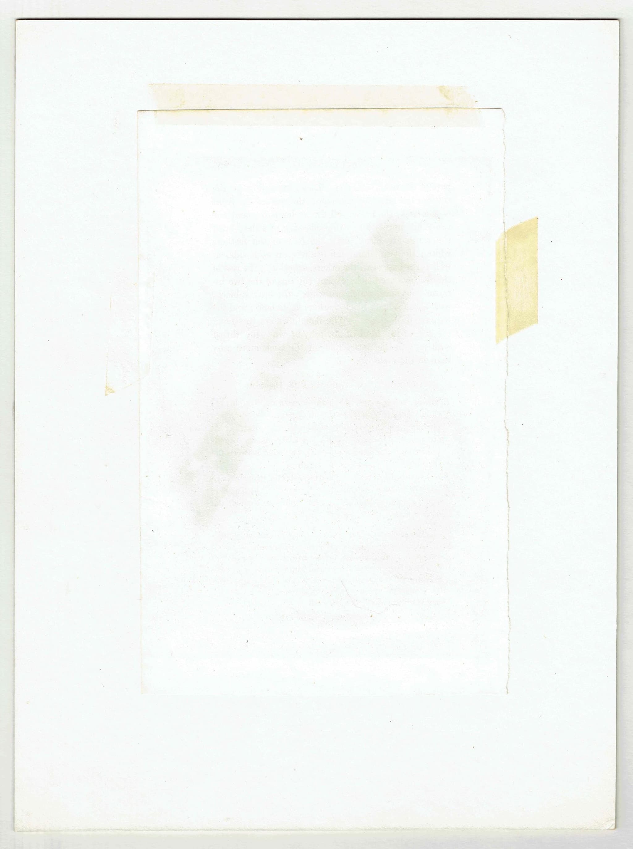 c.1800 Enicurus Coronatus Print – White-crowned Forktail Bird Engraving – Ornithology, Natural History – 8.5 x 5.25 in - Image 4