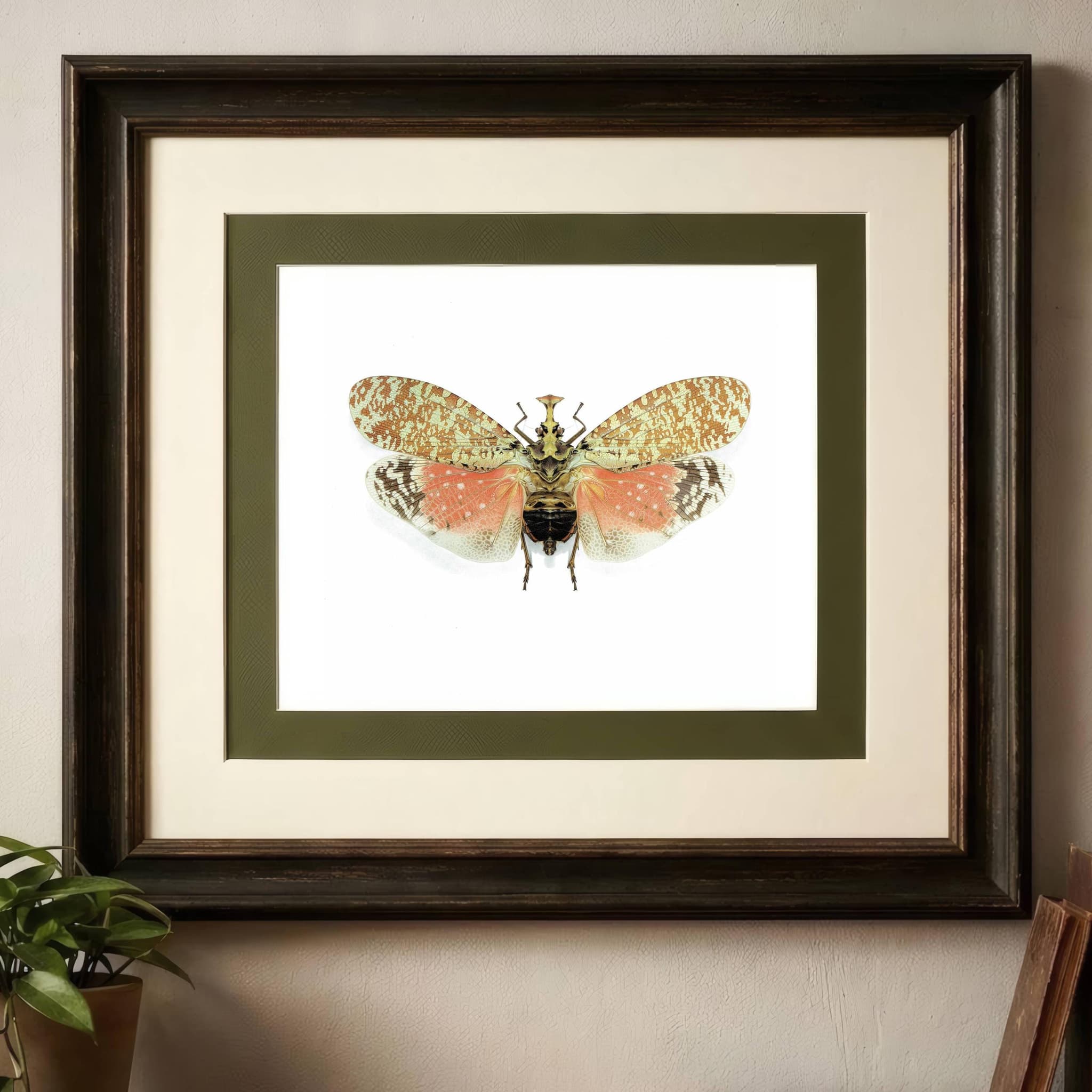 1986 Crowned Lanternfly Phrictus Diadema Print - Durin Bernard Les Insectes Scientific Illustration - Linnaeus Entomology - 11 x 13 in - Image 2