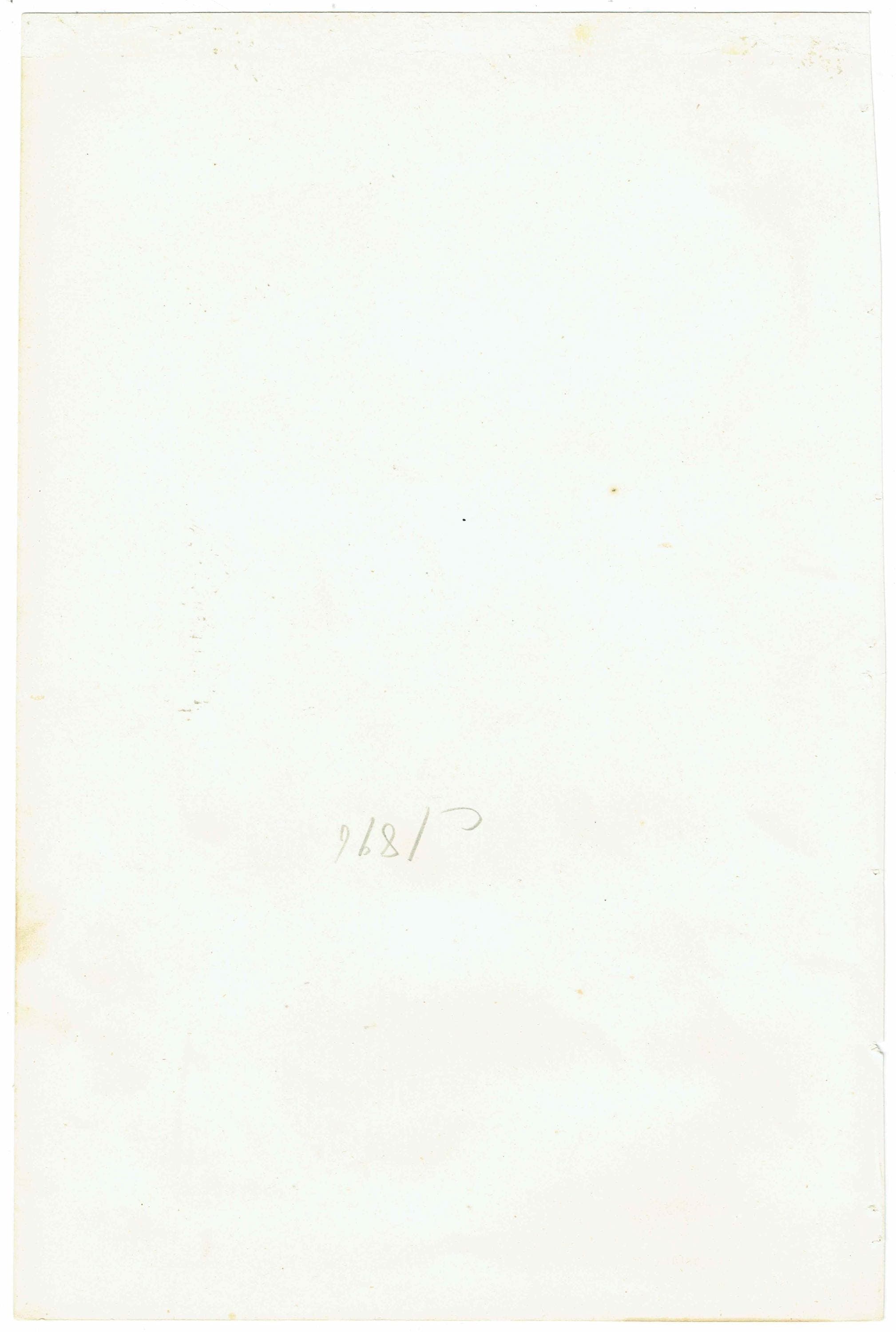 c.1890 Yellow Parrakeet Bird Print -  Magnificent Fruit Pigeon Horned Pheasant Great Bustard - Hand Coloured Ornithology Art - 9.5 x 6.5 in - Image 5