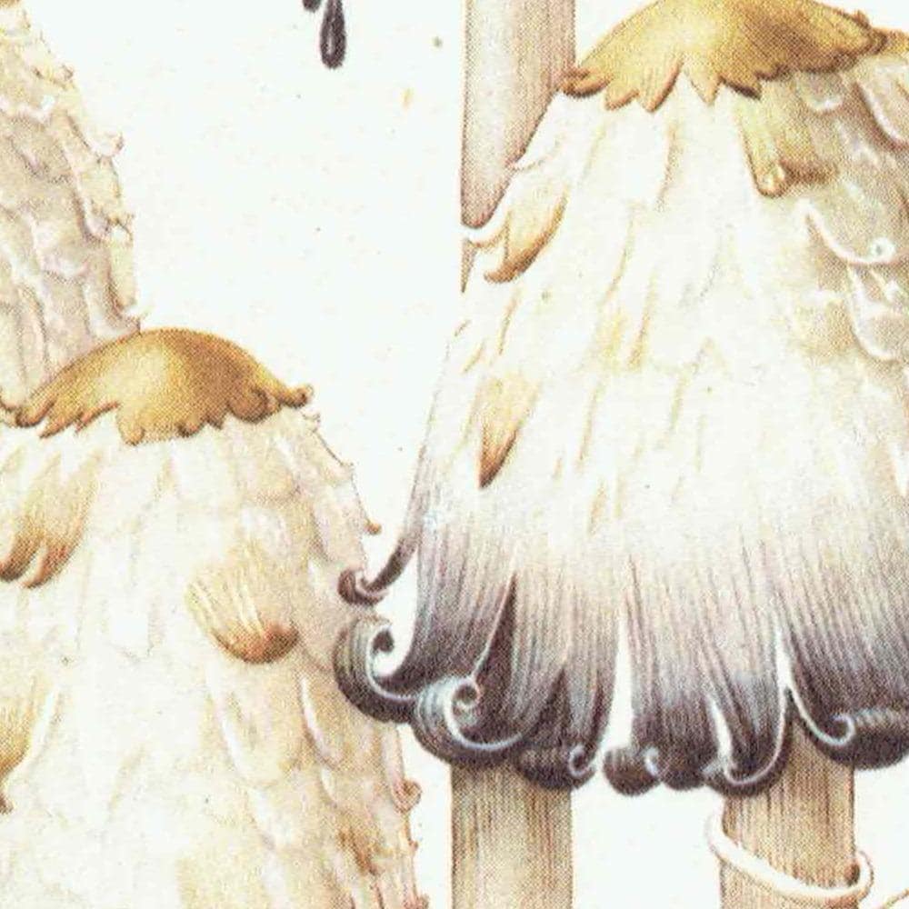 Vintage 1943 Mushroom Print – Shaggy Ink Cap & Penny Bun Botanical Illustration - Image 4