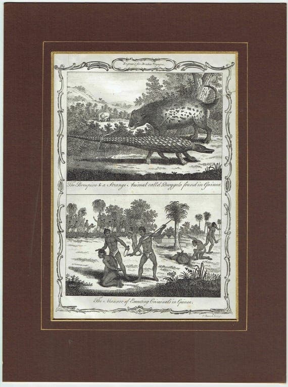 c.1790 Porcupine & Strange Animal called Quoggelo - Execution of Criminals - Guinea 11.75 x 8.25