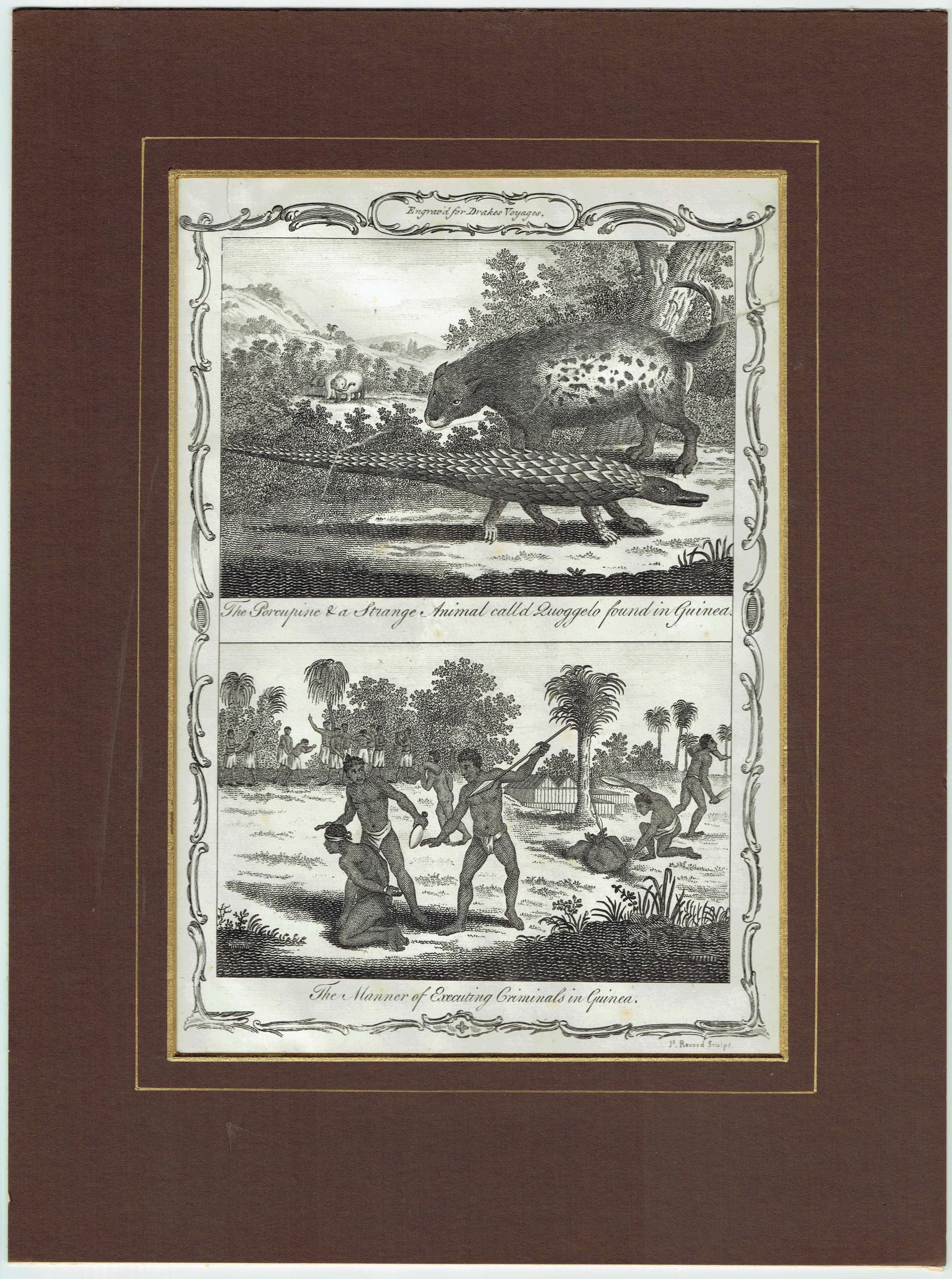 c.1790 Porcupine & Strange Animal called Quoggelo - Execution of Criminals - Guinea 11.75 x 8.25