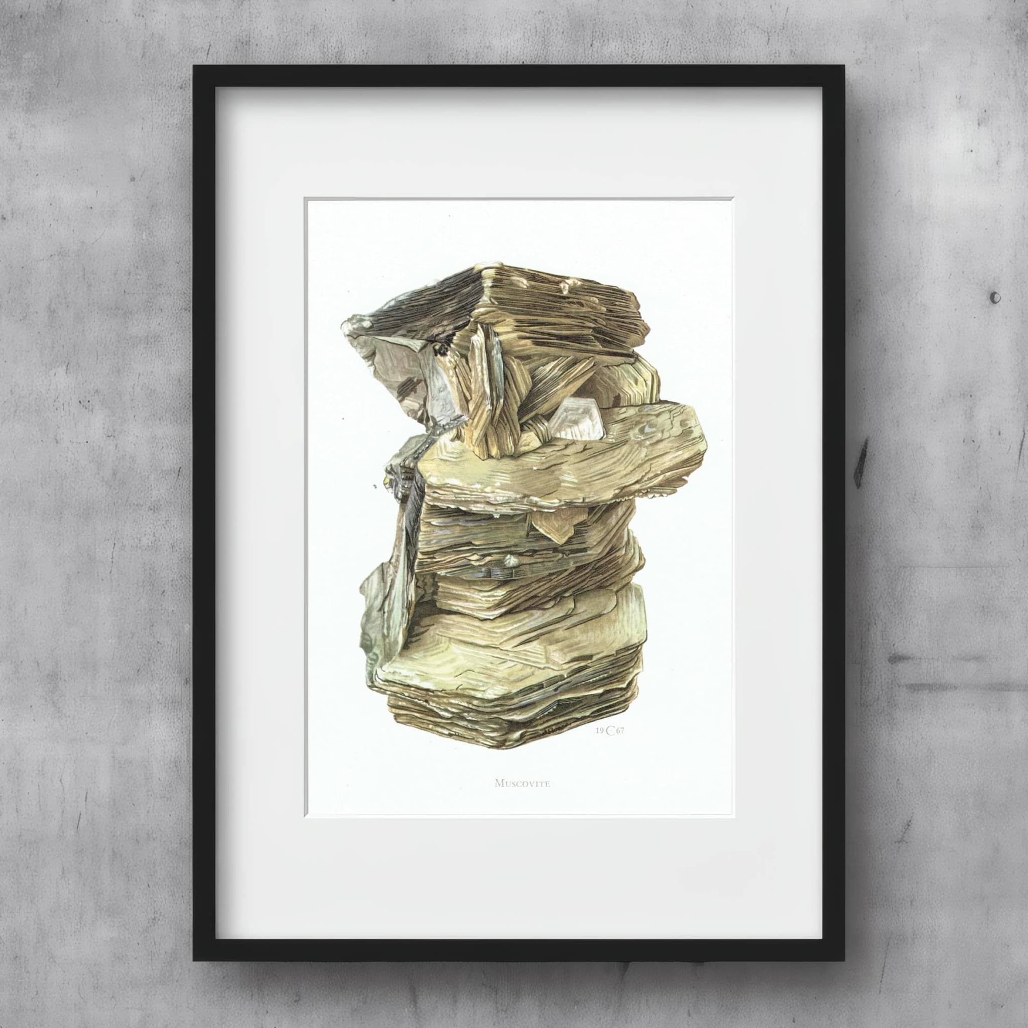 1969 Muscovite Mica - Original Vintage Print By Caspari - Mineral Study Scientific Natural History Geology Art - 7.5 x 10.5 in