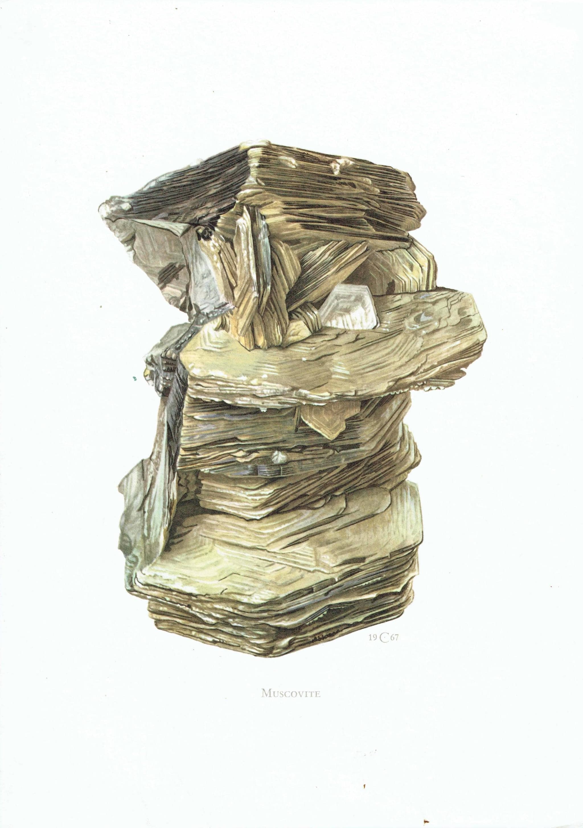 1969 Muscovite Mica - Original Vintage Print By Caspari - Mineral Study Scientific Natural History Geology Art - 7.5 x 10.5 in - Image 2