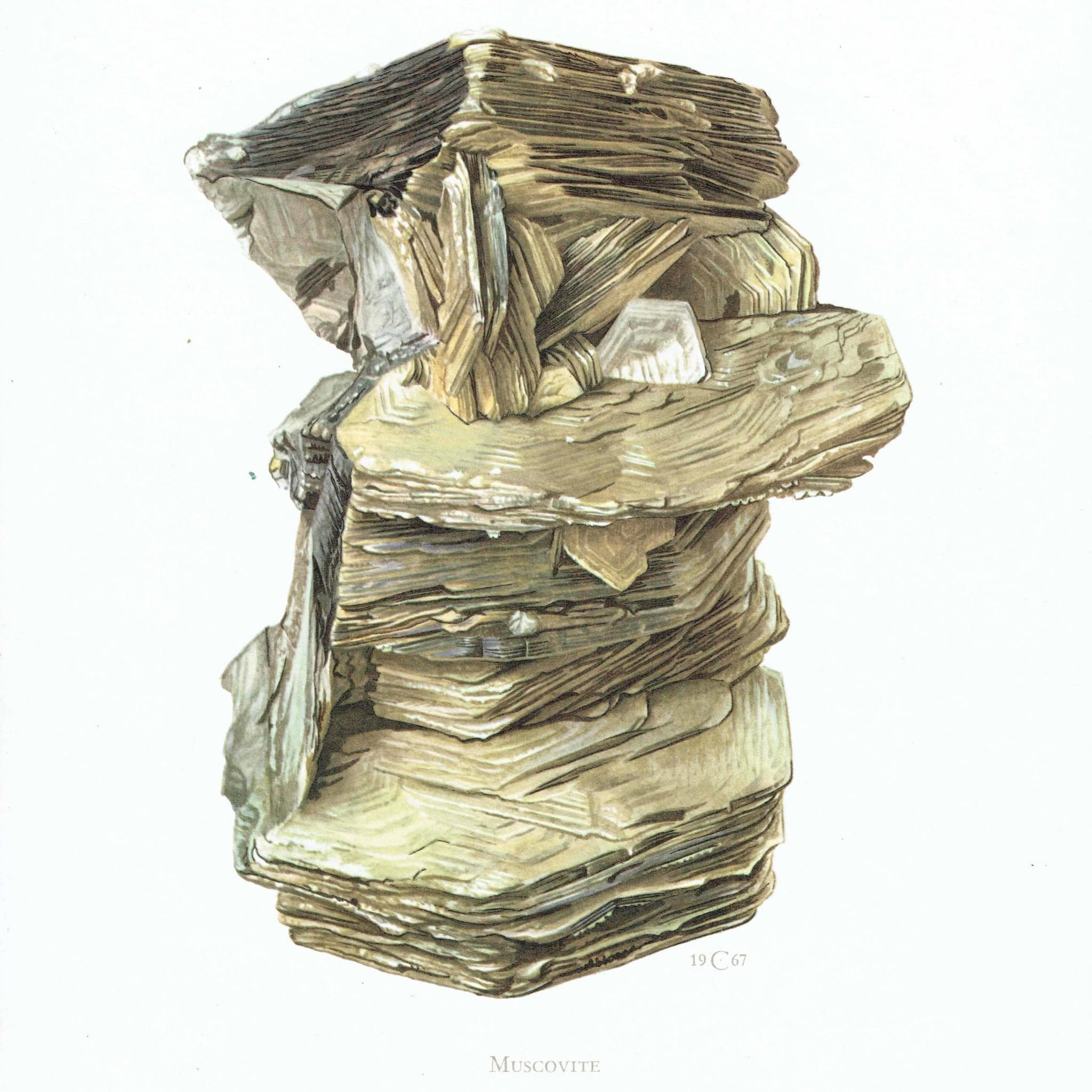 1969 Muscovite Mica - Original Vintage Print By Caspari - Mineral Study Scientific Natural History Geology Art - 7.5 x 10.5 in - Image 3