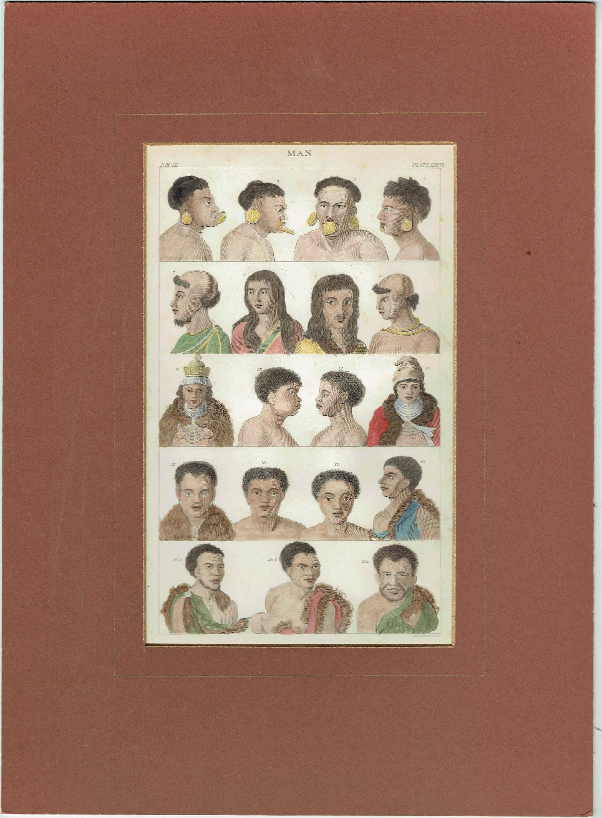 c.1875 Man Print - Ethnographic Heads - Hand-Coloured Anthropological Portraits - 9.75 x 6.25 in