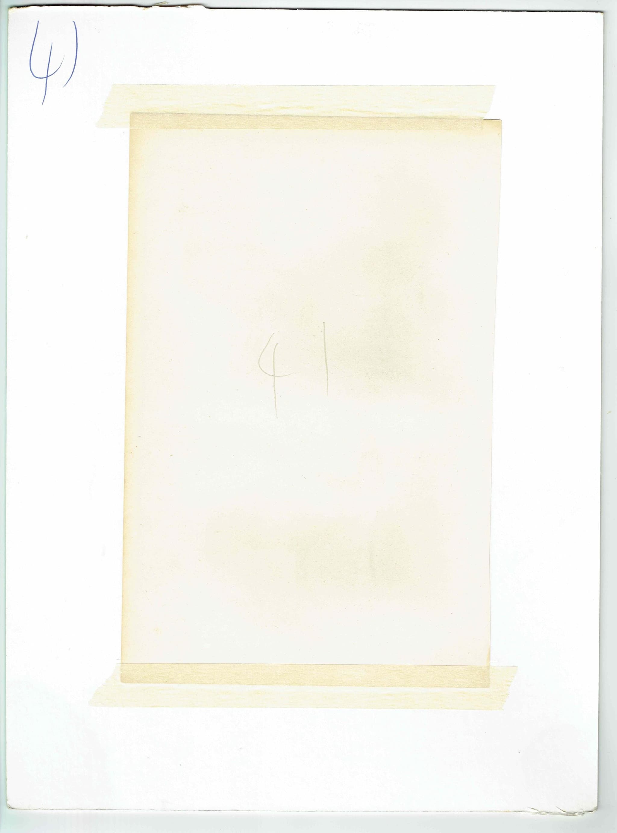 1832 Mammalia Print – Antique Marsupials Opossum - Quoll - Bandicoot - Glider Illustration – 8.5 × 10.75 in - Image 4