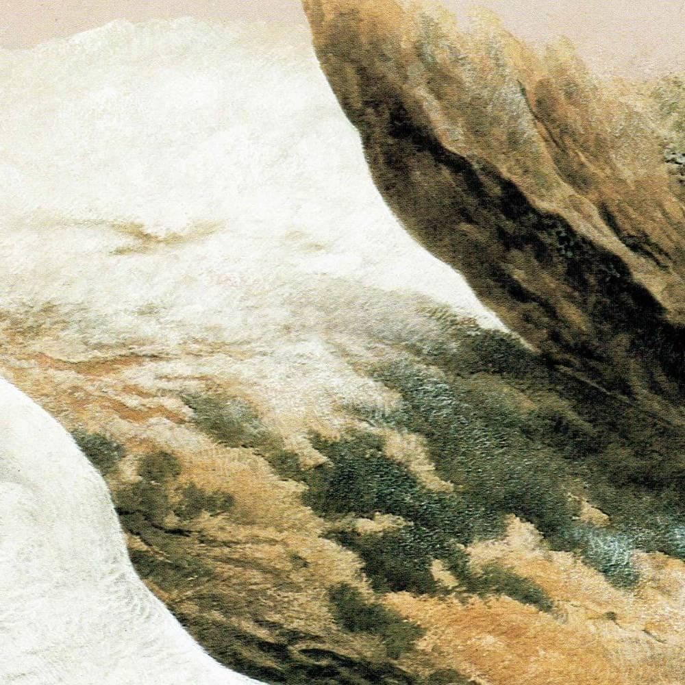 1981 Ptarmigan Lopus Mutus in Winter Plumage - Original Vintage Game Birds Wildlife Art Print - Maurice Pledger - 11.5 x 16.5 in - Image 4