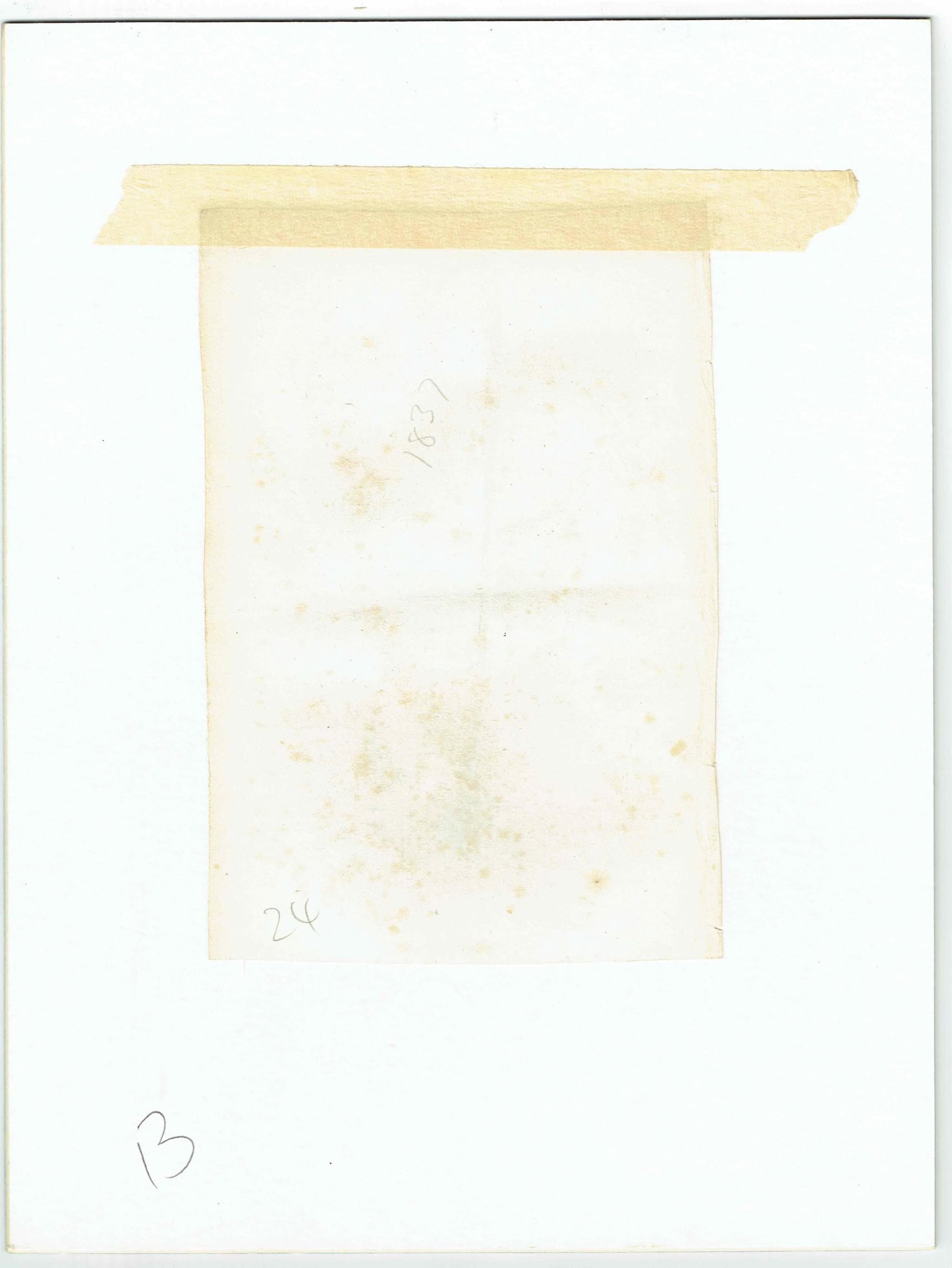 c.1837 Puff-backed Bush Shrike Print - Ornithology Bird Engraving - Lizars SC - Vintage Natural History Art - 4.25 x 6.25 in - Image 5