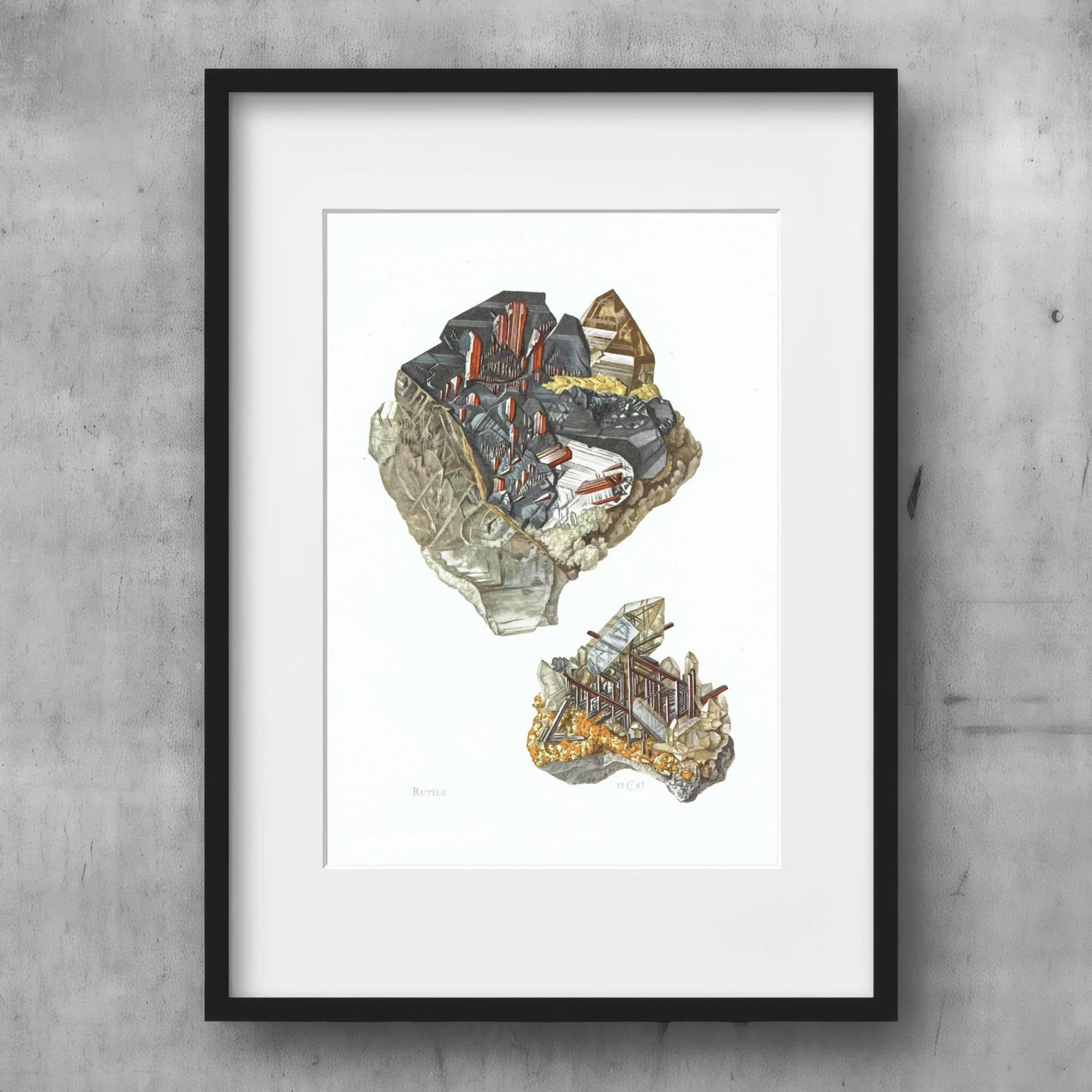 1969 Rutile Crystal - Original Vintage Print By Caspari - Mineral Study Scientific Natural History Geology Art - 7.5 x 10.5 in