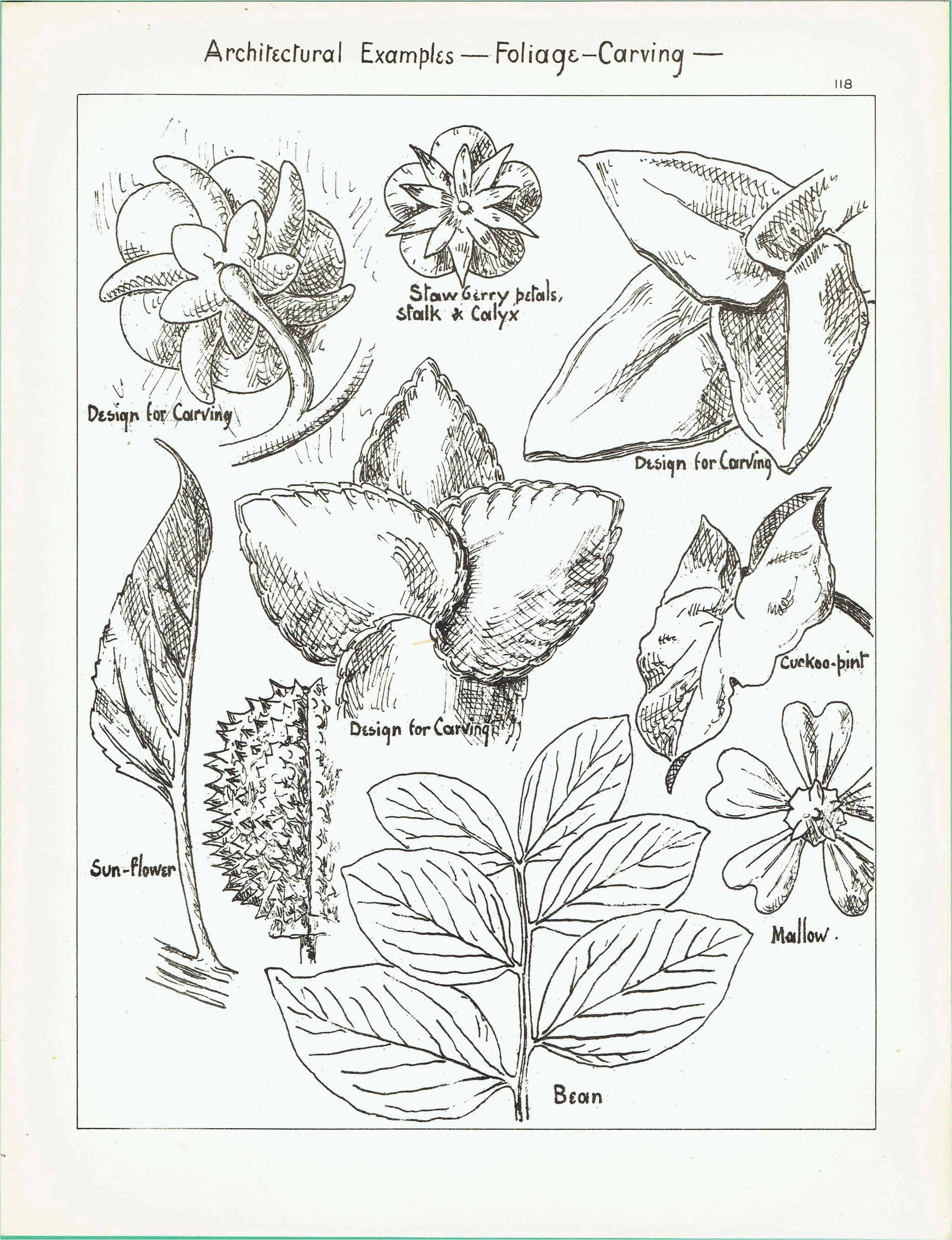 1898 Foliage Carving Architecture Print - Strawberry, Sunflower, Mallow & Bean Decorative Design Plate - 8 x 10.75 in