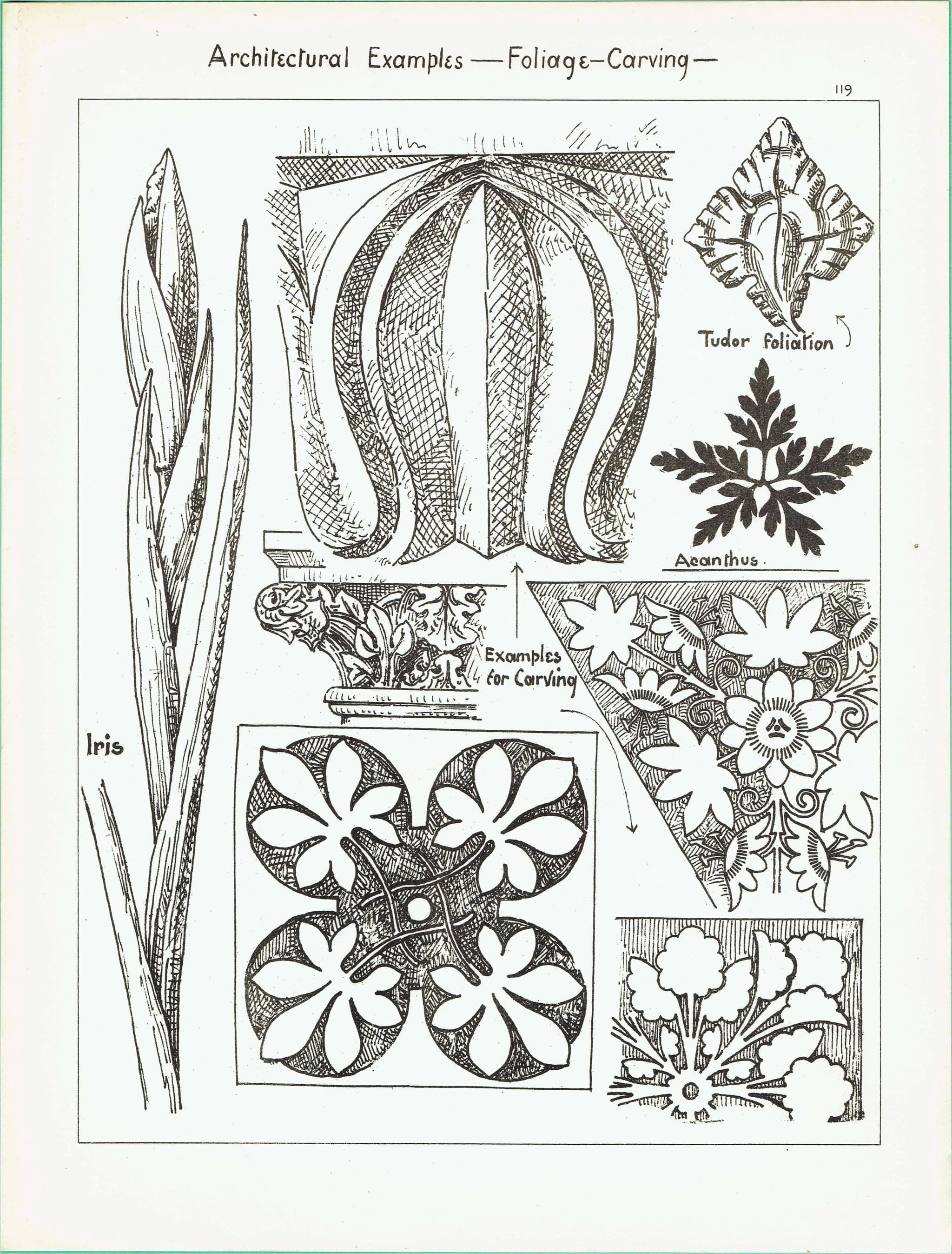 1898 Foliage Carving Architecture Print - Tudor Foliation, Acanthus & Iris Motifs - Antique Decorative Design Plate - 8 x 10.75 in