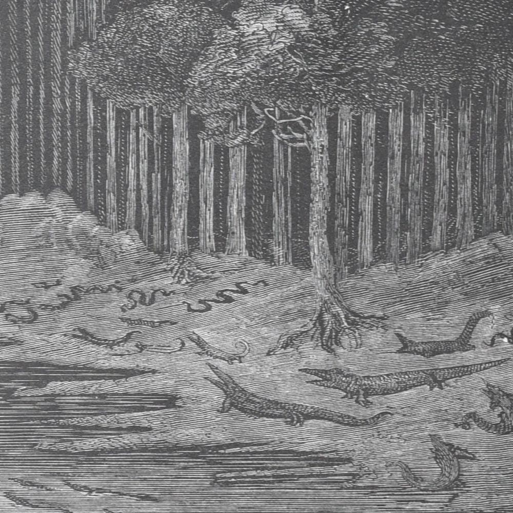 1866 Gustave Doré Wandering Jew Serpent Forest Plate 11 - Original Antique Engraving - Gothic Biblical Victorian Religious - 14 x 20 in - Image 4