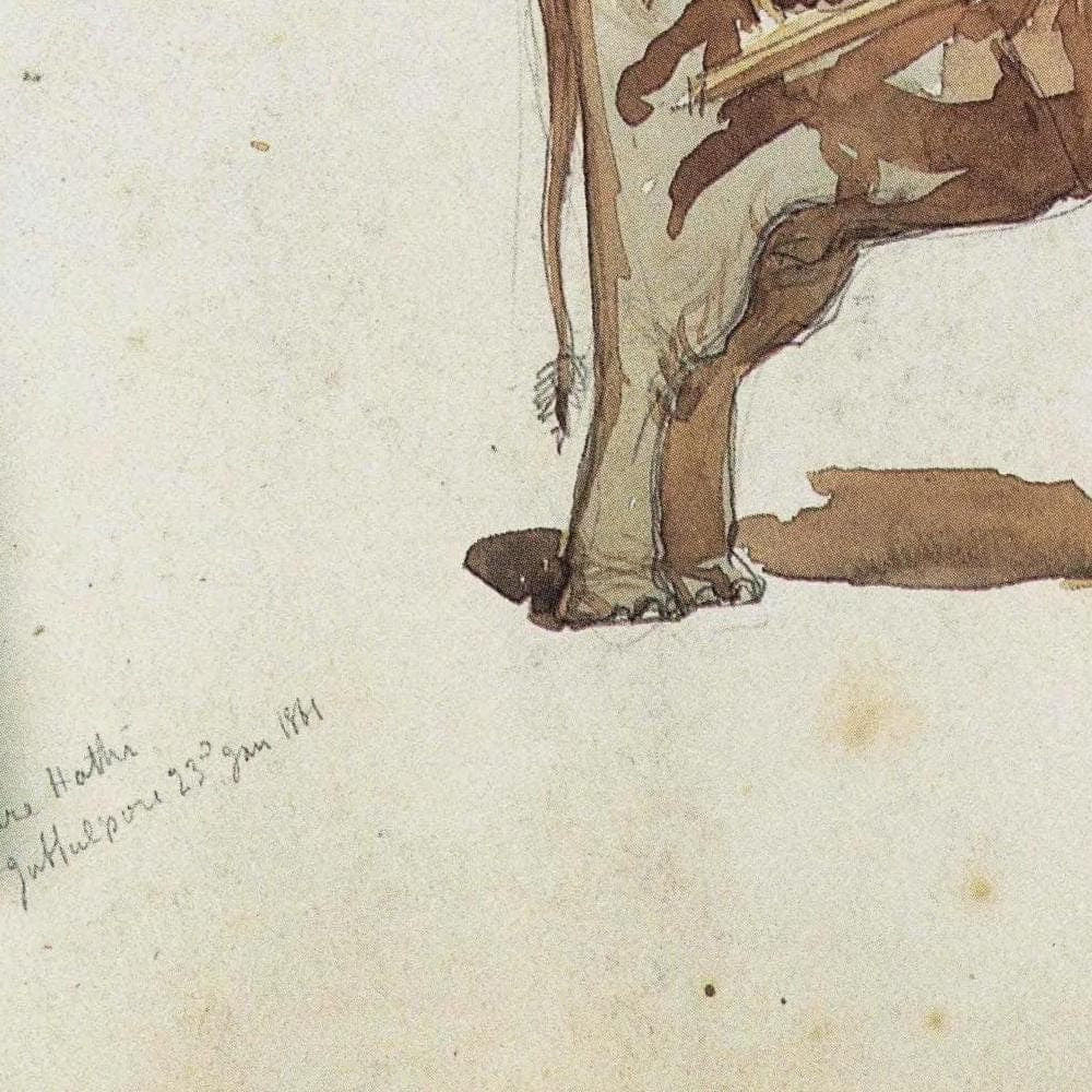 1986 Elephant, Jabalpur - Visions of India Vintage Print - William Simpson - 9.25 x 8.5 in - Image 4