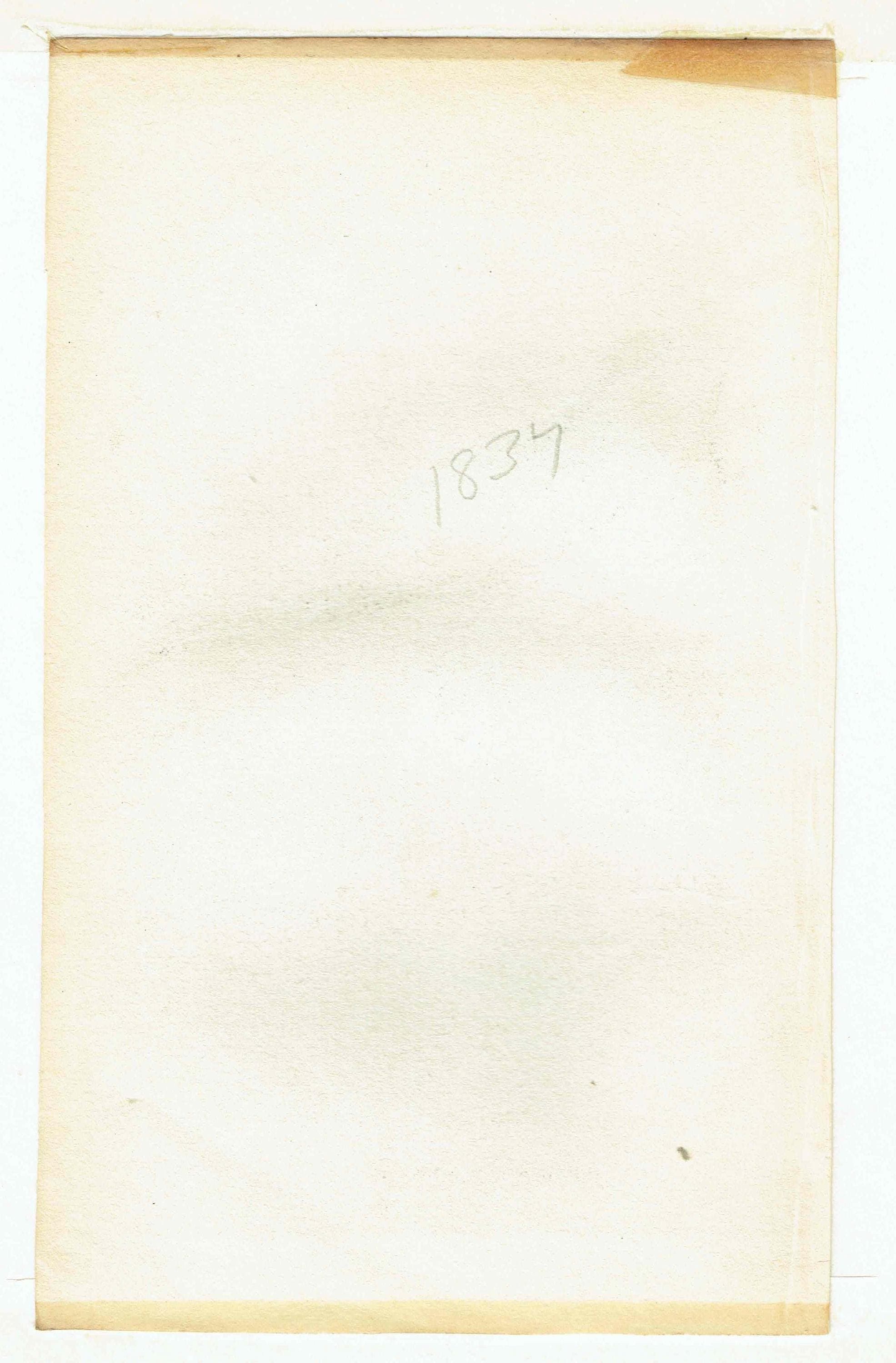 1837 Striped-throated Lapwing Print - Ornithological Lapwing Print - Hand-Coloured Bird Illustration - 6.75 x 4 in - Image 4