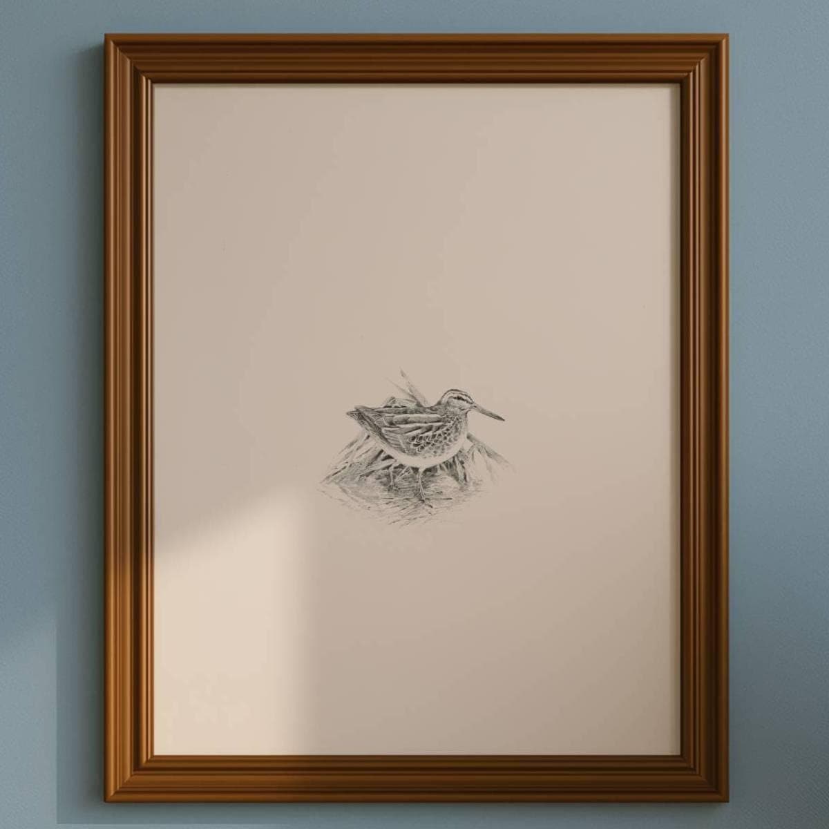 1981 Jack Snipe Game Birds Print -Maurice Pledger - Vintage Wildlife Art - Ornithology 11.5 x 16.5 in