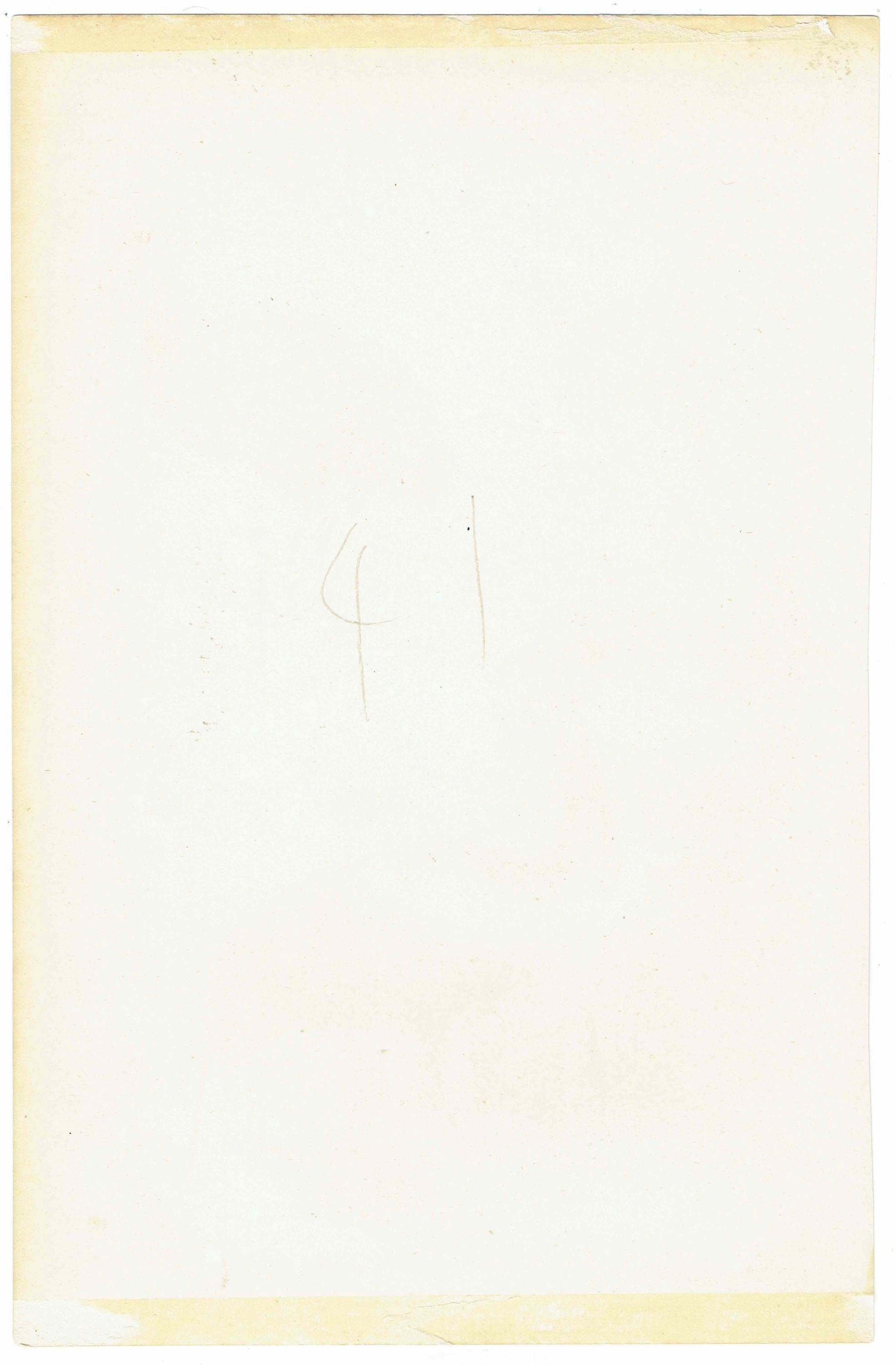 c.1895 Struthiones Ostrich And Rhea Print - Struthio camelus & Rhea americana - Hand Coloured Ornithology Art - 9.5 x 6.25 in - Image 5