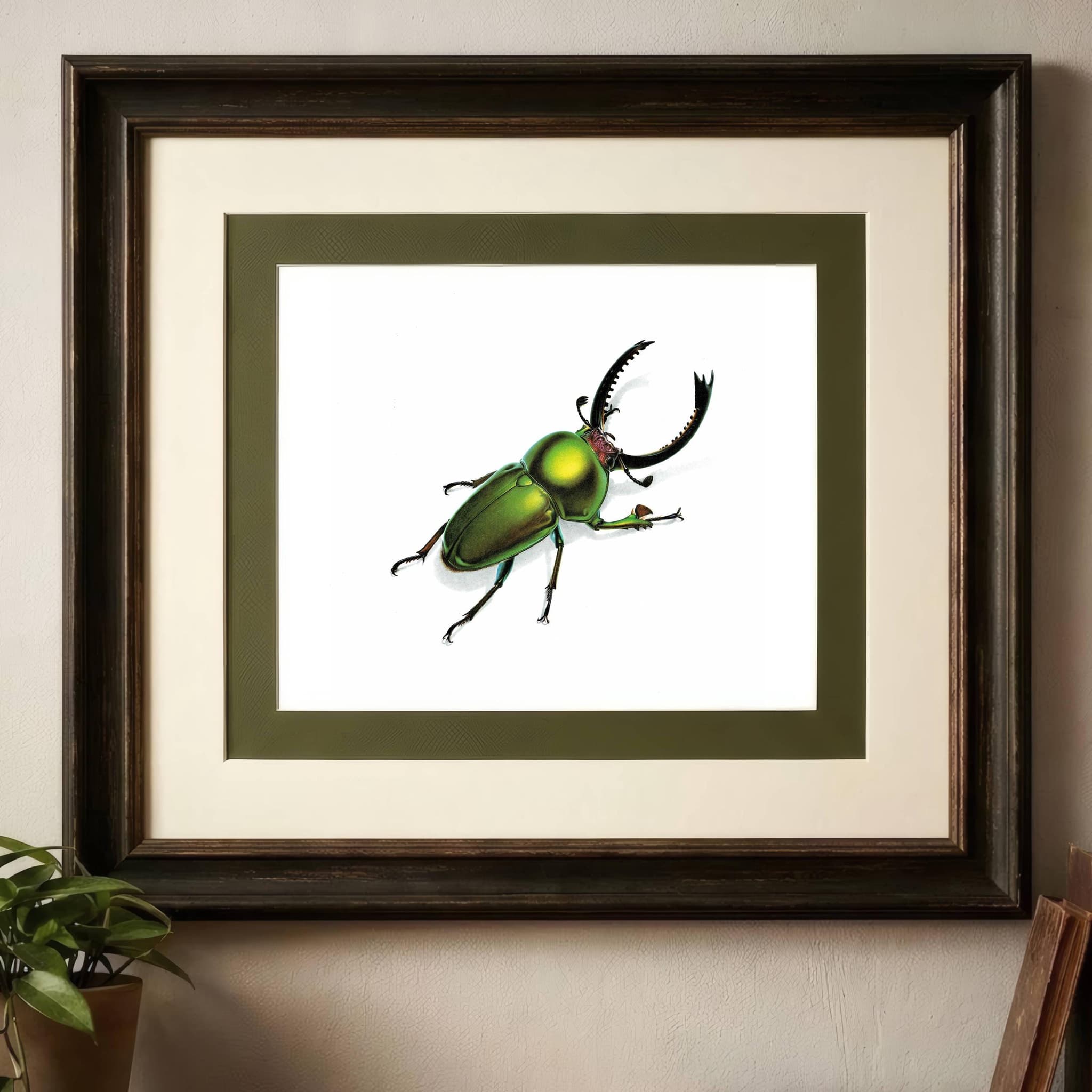 1986 Green Jewel Sawtooth Stag Beetle Neolamprima Adolphinae Print - Durin Bernard Les Insectes - Gerstaeker Entomology Drawing - 11 x 13 in - Image 2