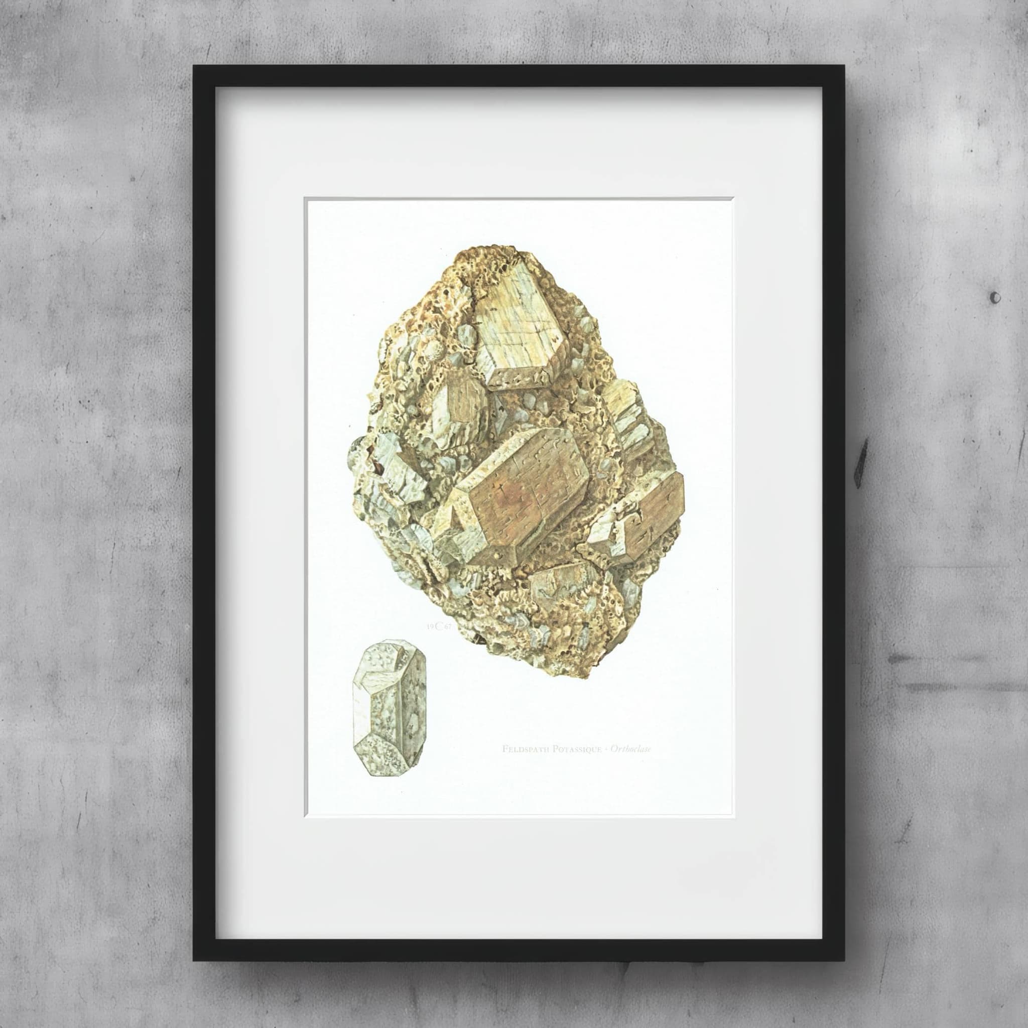 1969 Orthoclase Feldspar - Original Vintage Print By Caspari - Mineral Study Scientific Natural History Geology Art - 7.5 x 10.5 in