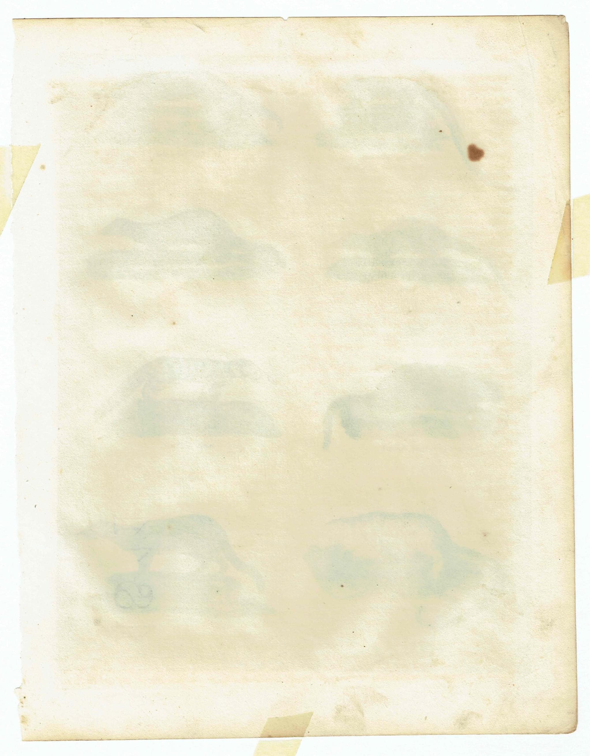 c.1816 From Buffon’s Histoire Naturelle -  Small Mammals Print - Manis & Ant Eaters - Hand-Coloured Natural History Engraving - 8 x 10.5 in - Image 4