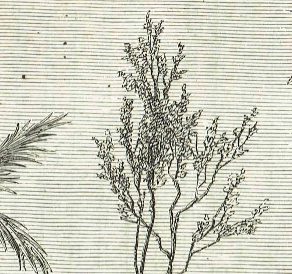 1870s Original Jesuit Mission Church Ruins Paraguay Woodblock Print - South American Architecture - Victorian Travel Drawing - 12 x 8.5 in - Image 4