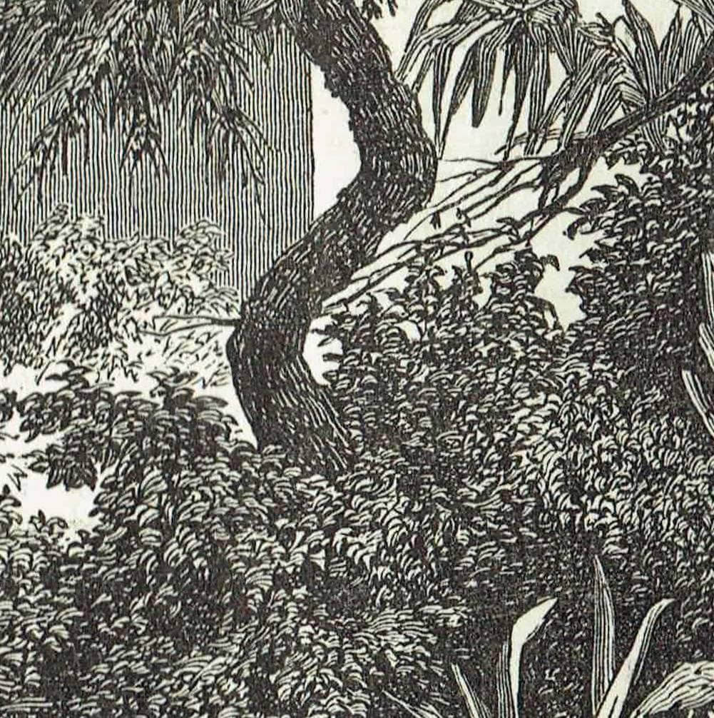 1870s Original Jesuit Mission Church Ruins Paraguay Woodblock Print - South American Architecture - Victorian Travel Drawing - 12 x 8.5 in - Image 5