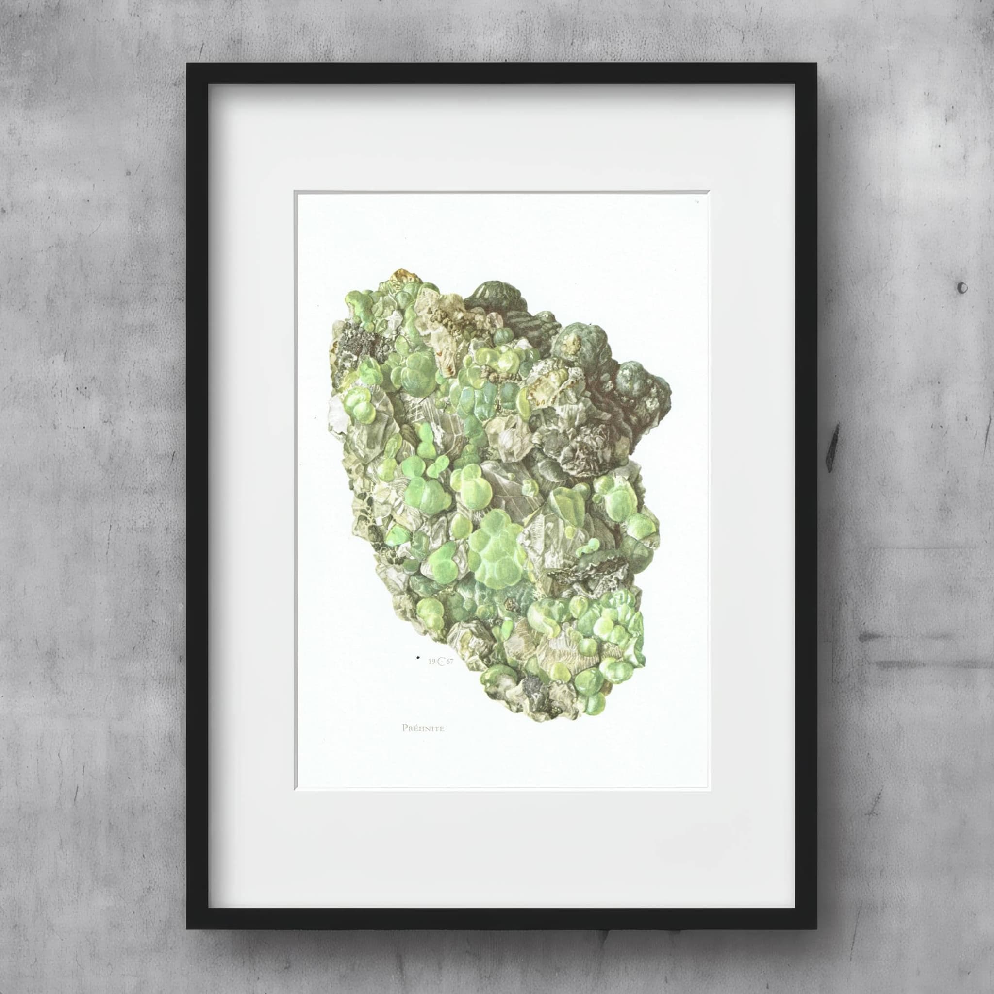 1969 Prehnite Mineral - Original Vintage Print By Caspari - Scientific Natural History Geology Study Collection - 7.5 x 10.5 in