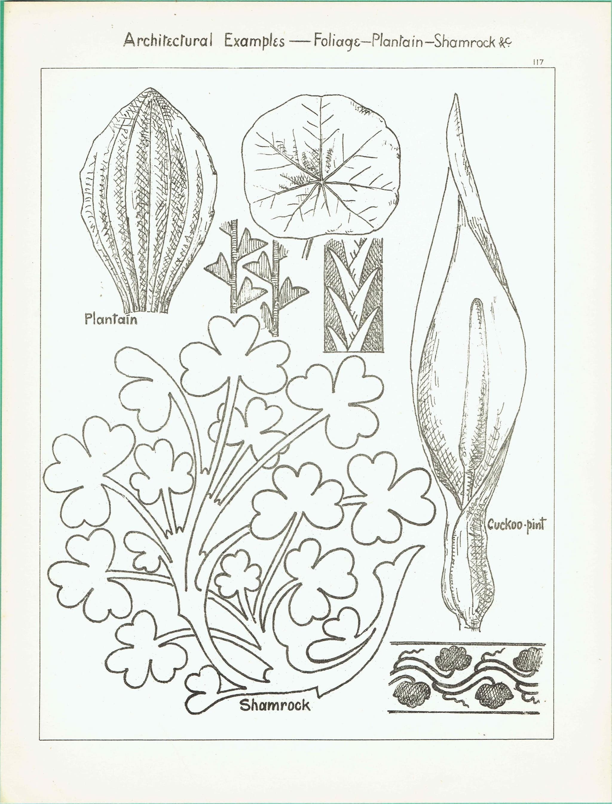 1898 Architectural Foliage Print - Shamrock, Plantain, Cuckoo-Pint & Decorative Leaf Motifs - Antique Design Plate - 8 x 10.75 in - Image 1