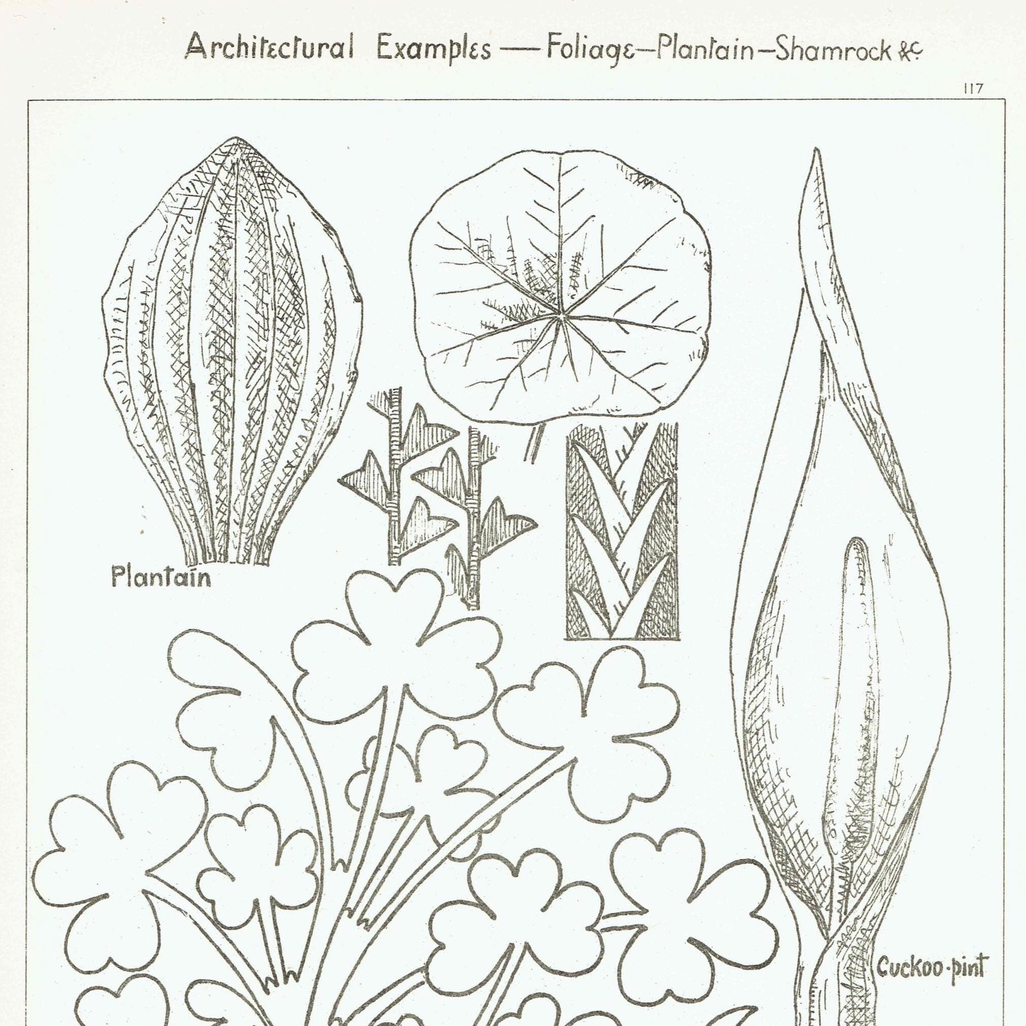 1898 Architectural Foliage Print - Shamrock, Plantain, Cuckoo-Pint & Decorative Leaf Motifs - Antique Design Plate - 8 x 10.75 in