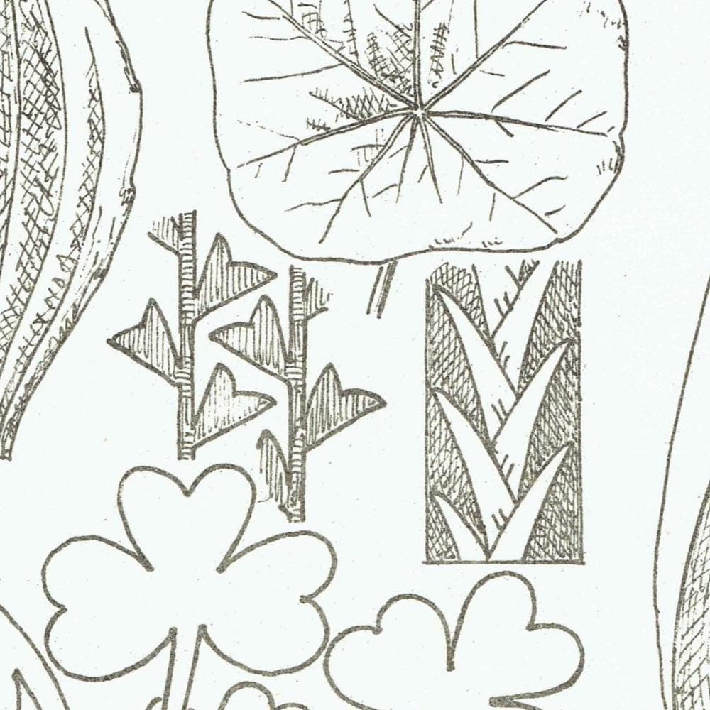 1898 Architectural Foliage Print - Shamrock, Plantain, Cuckoo-Pint & Decorative Leaf Motifs - Antique Design Plate - 8 x 10.75 in - Image 3