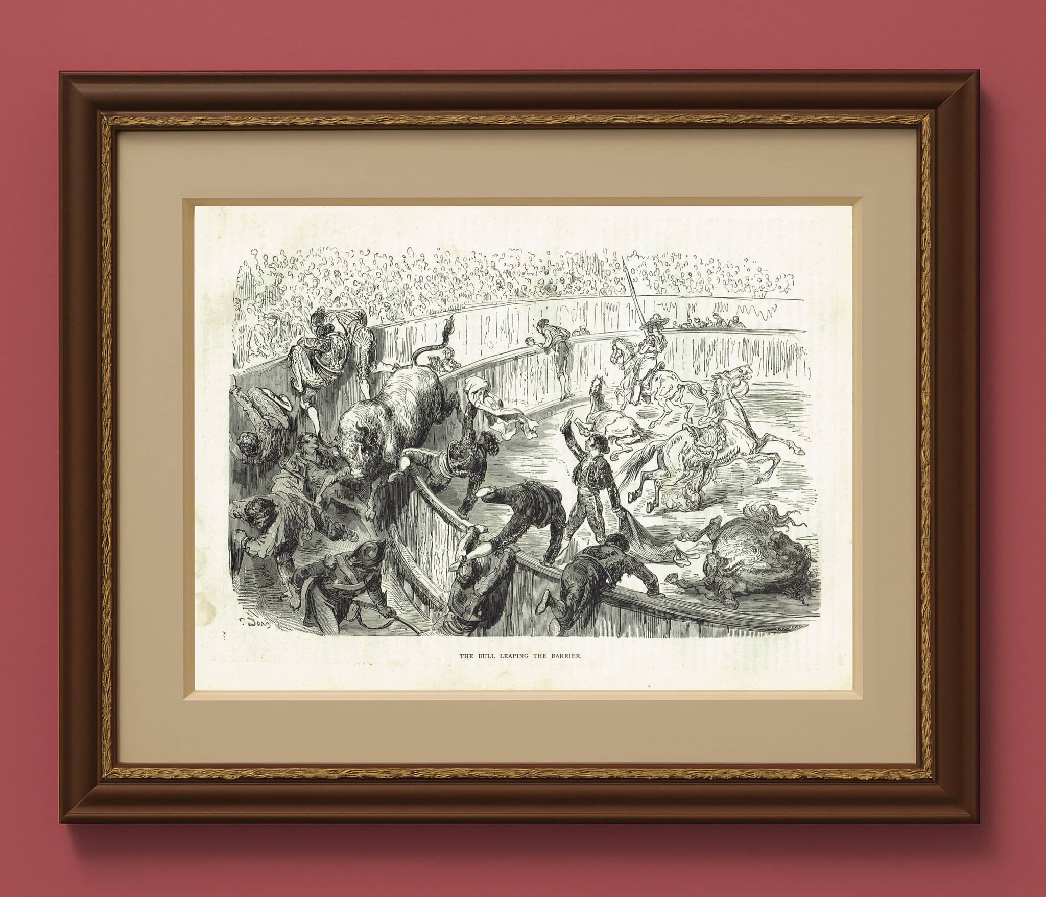 1870s Bull Leaping Arena Original Woodblock Print - Victorian Bullfighting Scene - Antique Book Illustration - 12 x 8.5 in