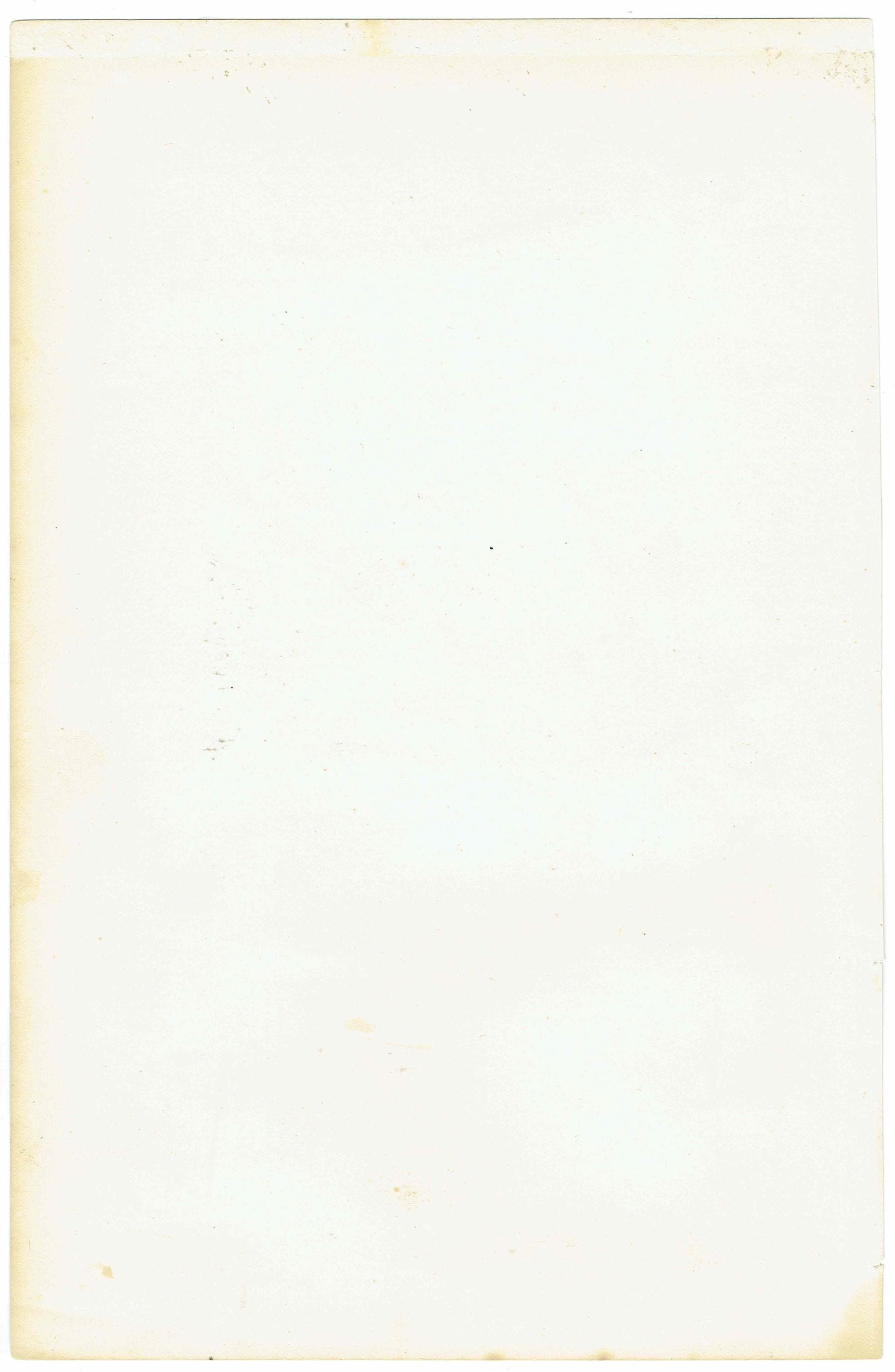 c.1870 Volitores Print - Ornithology Hand Coloured Bird Plate - Nightjar Bee-eater Swiftlet Hummingbird - 9.5 x 6.25 in - Image 5