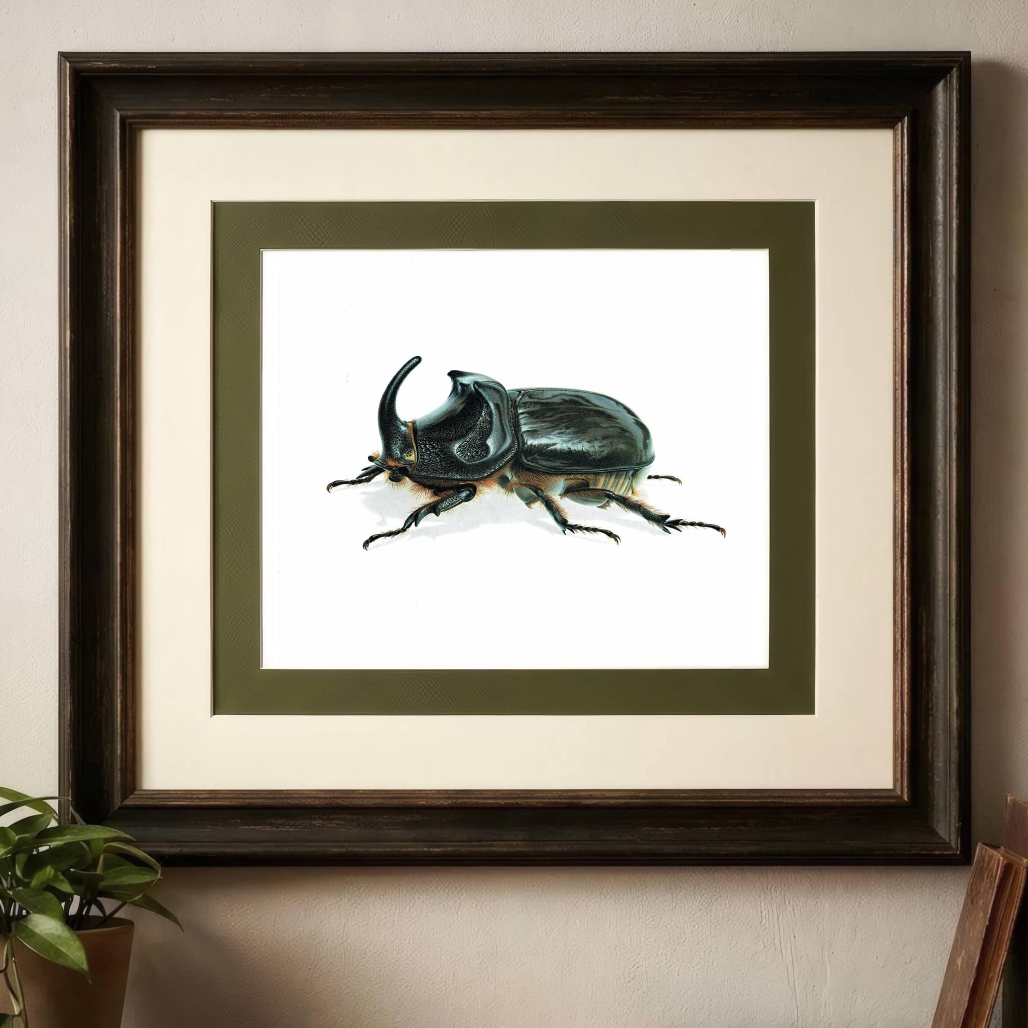 1986 European Rhinoceros Beetle Oryctes Nasicornis Print - Durin Bernard Les Insectes Scientific Illustration - Entomology - 11 x 13 in - Image 2
