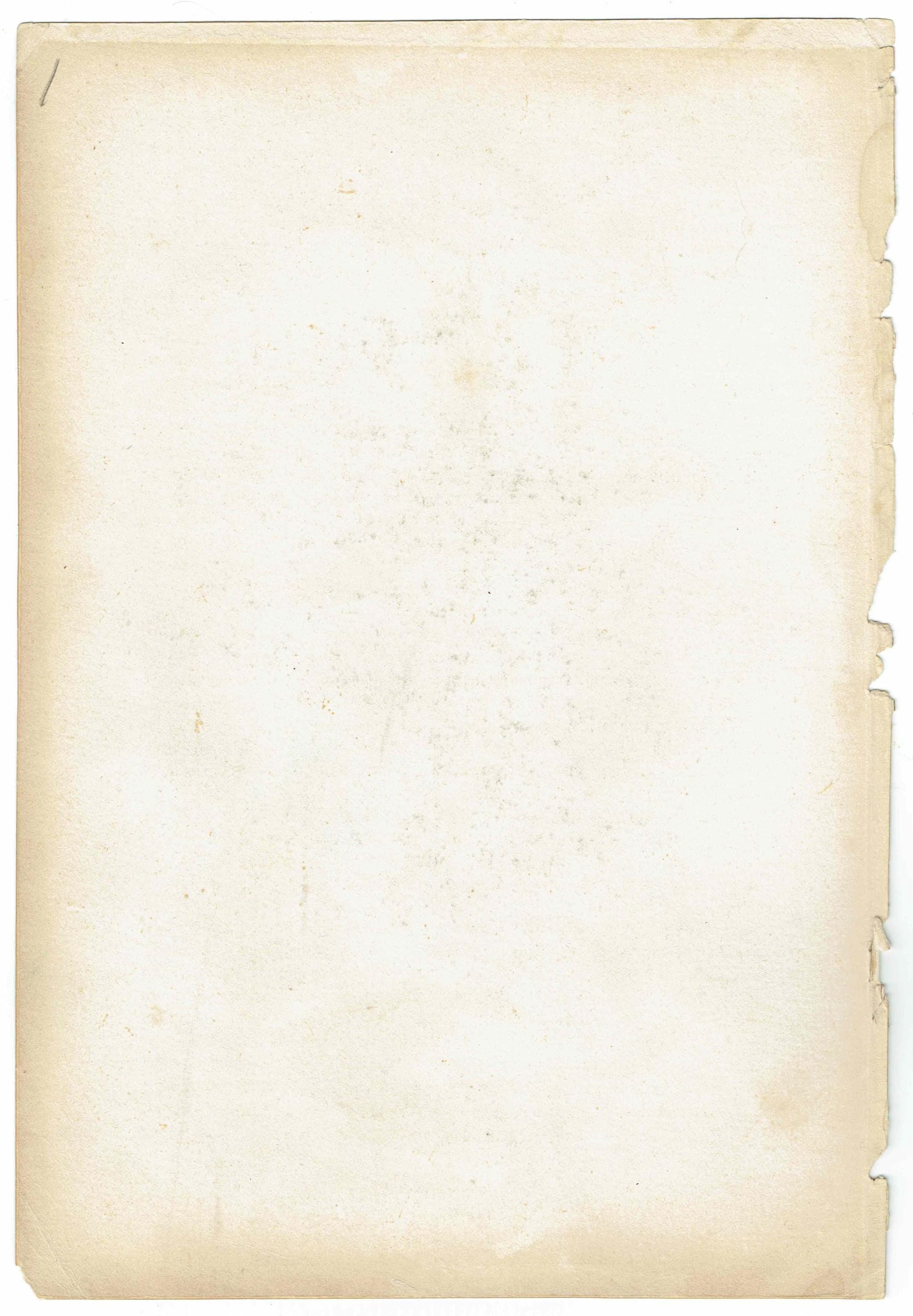 1896 Falcons Birds Original Print - Bird Wall Art - Antique Animal Print - Ornithology Print - 6.5 x 9.5 Inches - Image 5