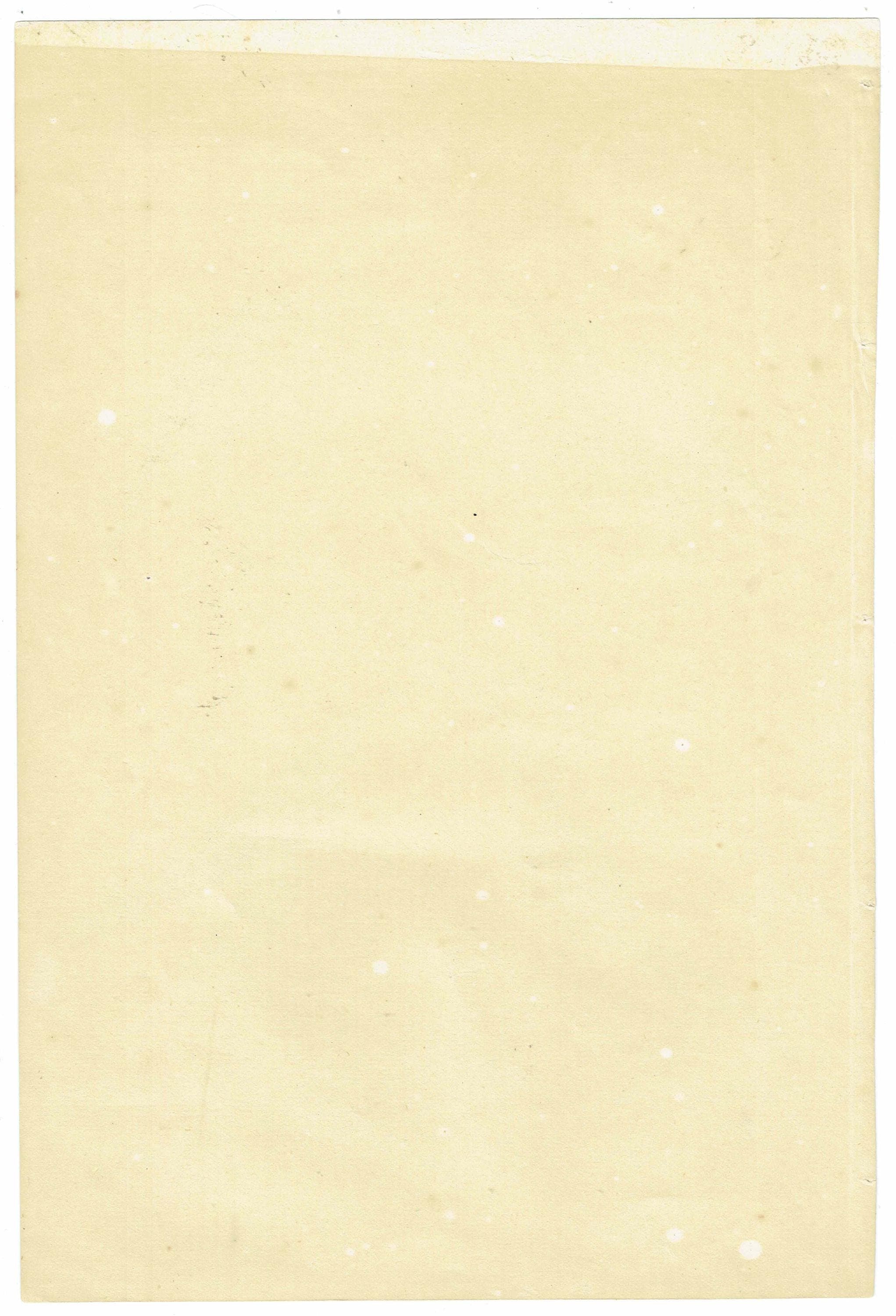 c.1874 Tenuirostres Birds Print - Kingfisher, Hoopoe, Bee-eater, Treecreeper Ornithological Plate - 9.5 x 6.5 in - Image 5