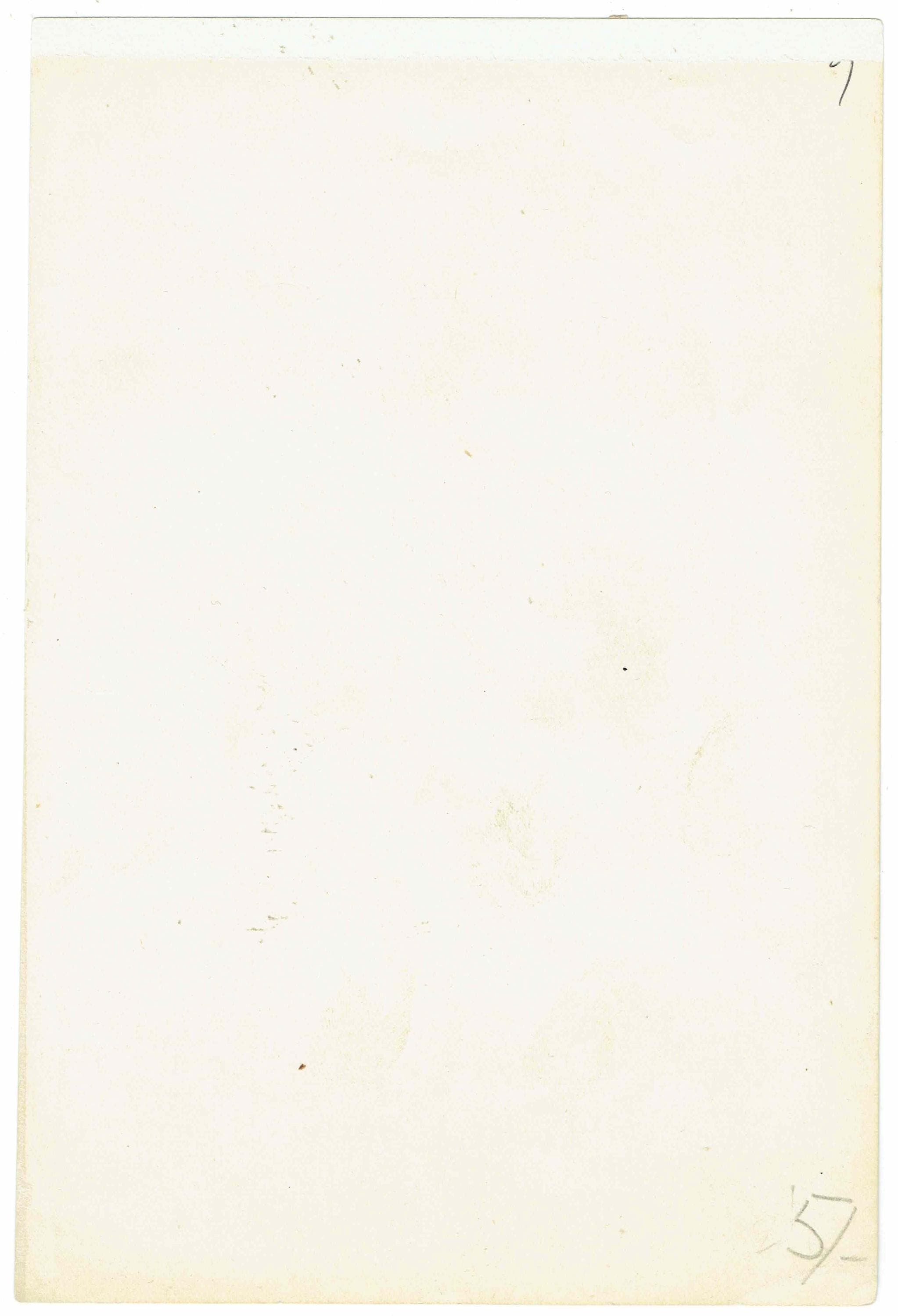 c.1896 Egyptian Vulture Print - Hand-Coloured Engraving - Ornithology Natural History Wildlife Art - 7 x 4.75 in - Image 5