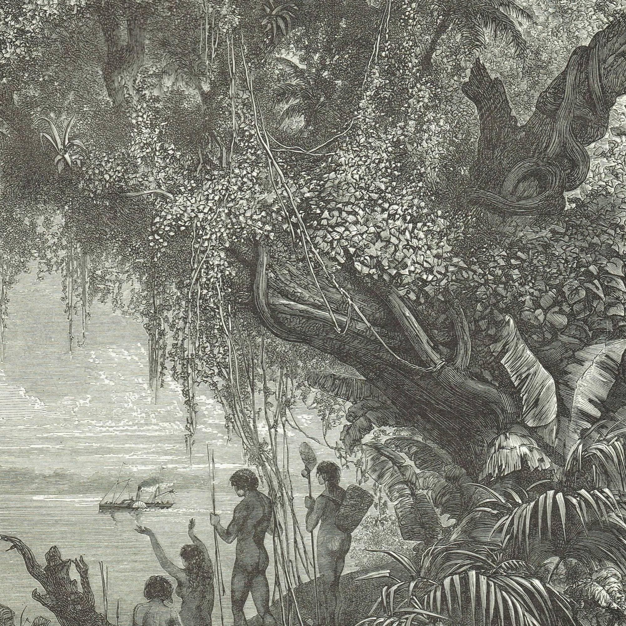1870s Original Victorian Steamboat Orinoco River Woodblock Print - South American Exploration Print - Historical Travel - 8.5 x 12 in - Image 3