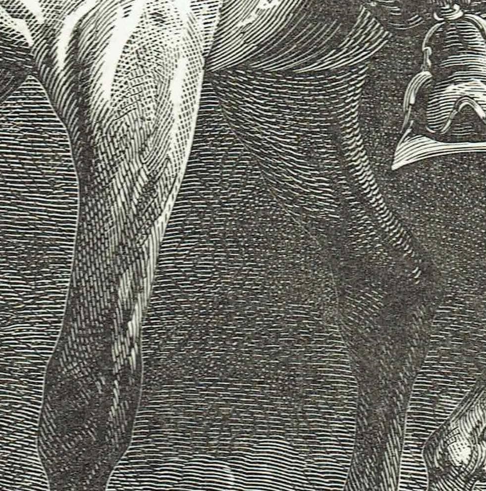 1870s Antique Kurdish Princess Portrait - Victorian Travel Book Original Woodblock Print - Middle Eastern Royal Figure - 8.5 x 12 in - Image 5