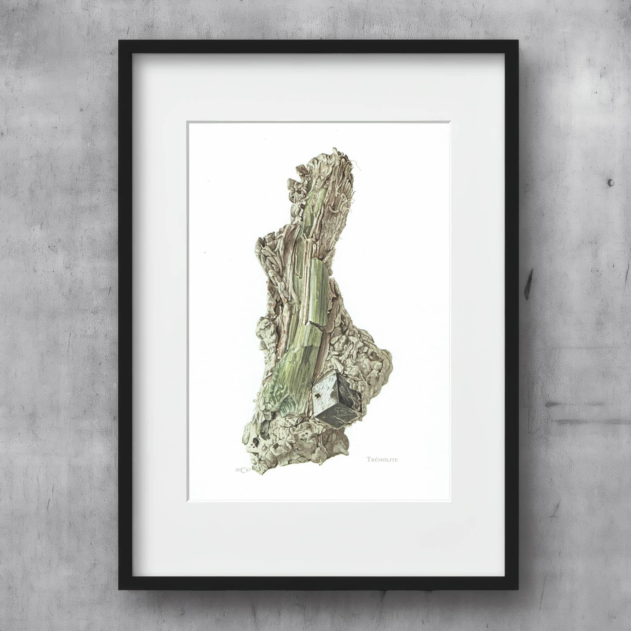 1969 Tremolite Crystal - Original Vintage Print By Caspari - Mineral Study Scientific Natural History Geology Art - 7.5 x 10.5 in