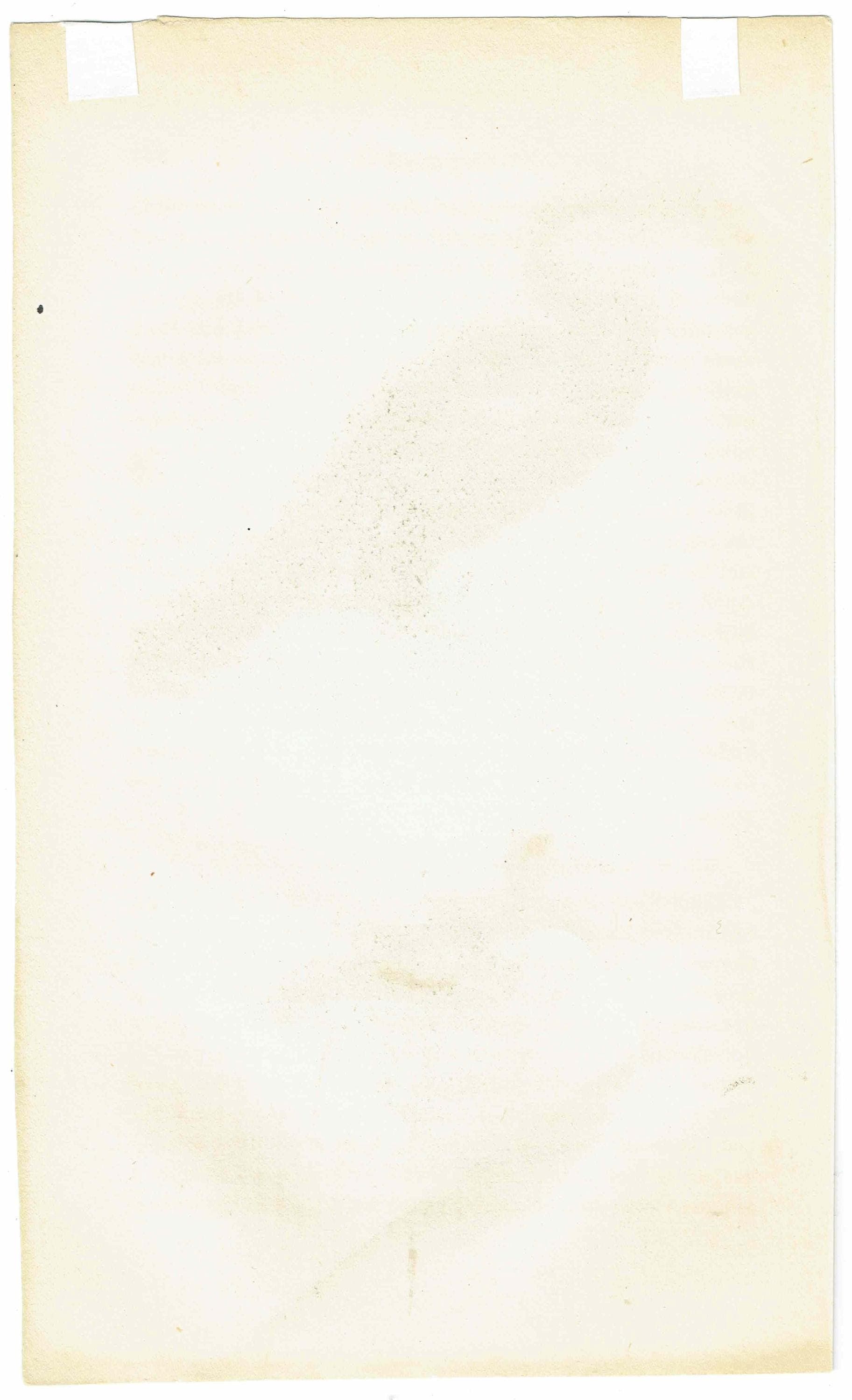 c.1835 Shag & Teal Ornithology Print - Hand-Coloured Engraving - Coastal Shag And Teal Duck - 7 x 4.25 in - Image 5