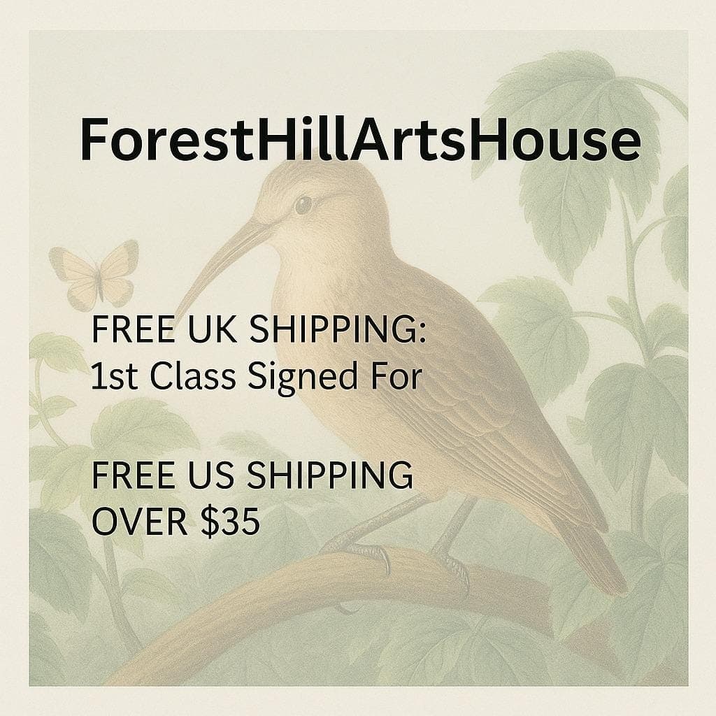 c.1835 Shag & Teal Ornithology Print - Hand-Coloured Engraving - Coastal Shag And Teal Duck - 7 x 4.25 in - Image 6