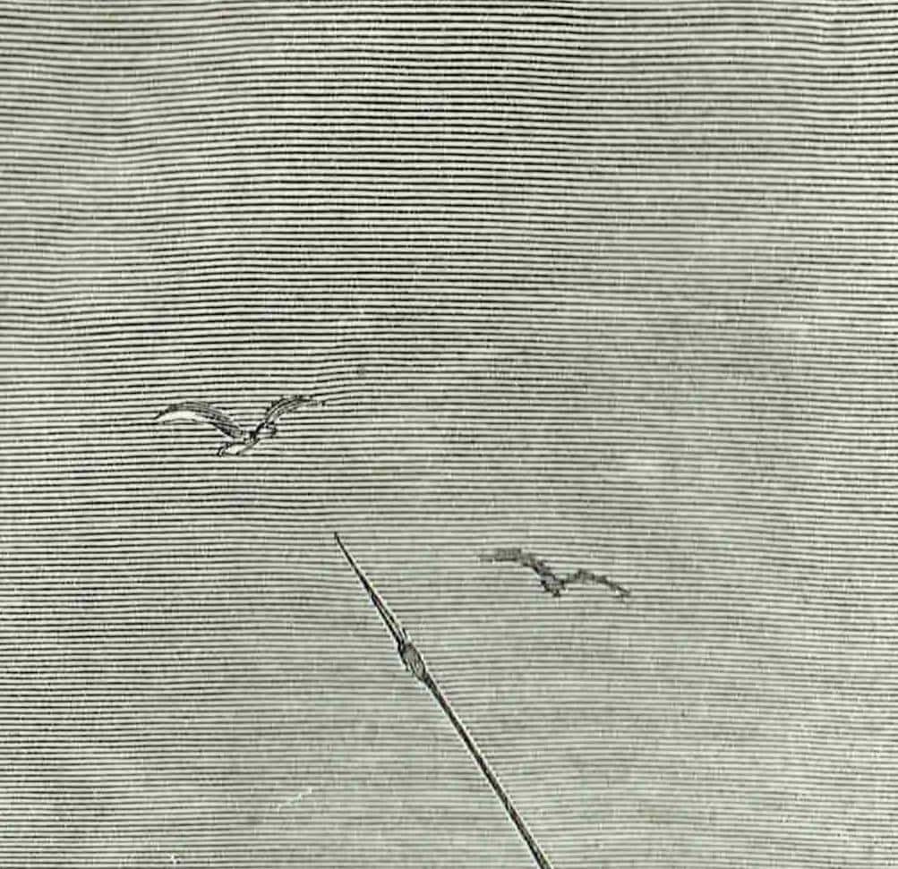 1870s Original Victorian Travel Print - Arabs Market Scene - Antique Woodblock  Print - Illustrated Travels Book - 12 x 8.5 in - Image 4