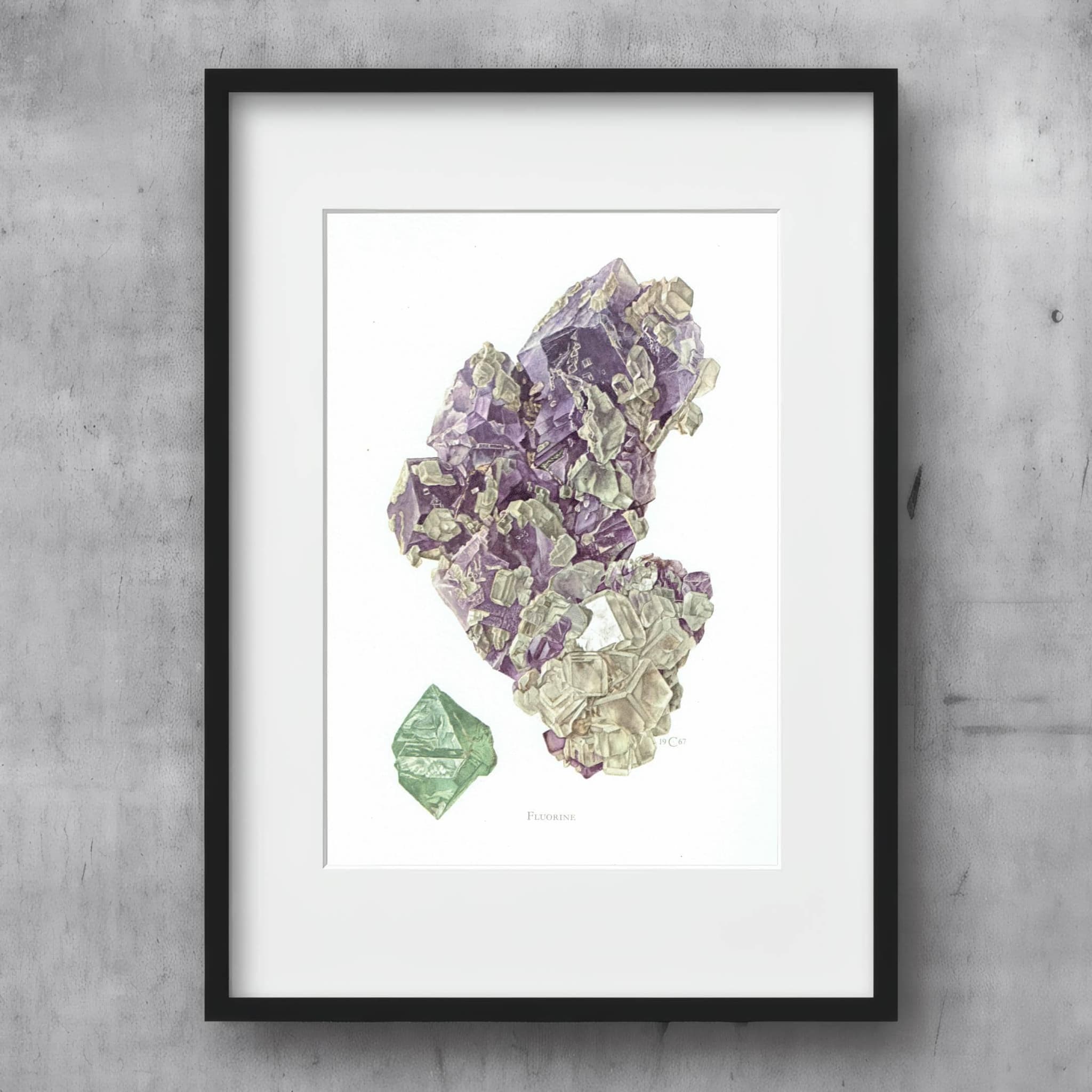 1969 Fluorine Crystal - Original Vintage Print By Caspari - Mineral Study Scientific Natural History Geology Art - 7.5 x 10.5 in