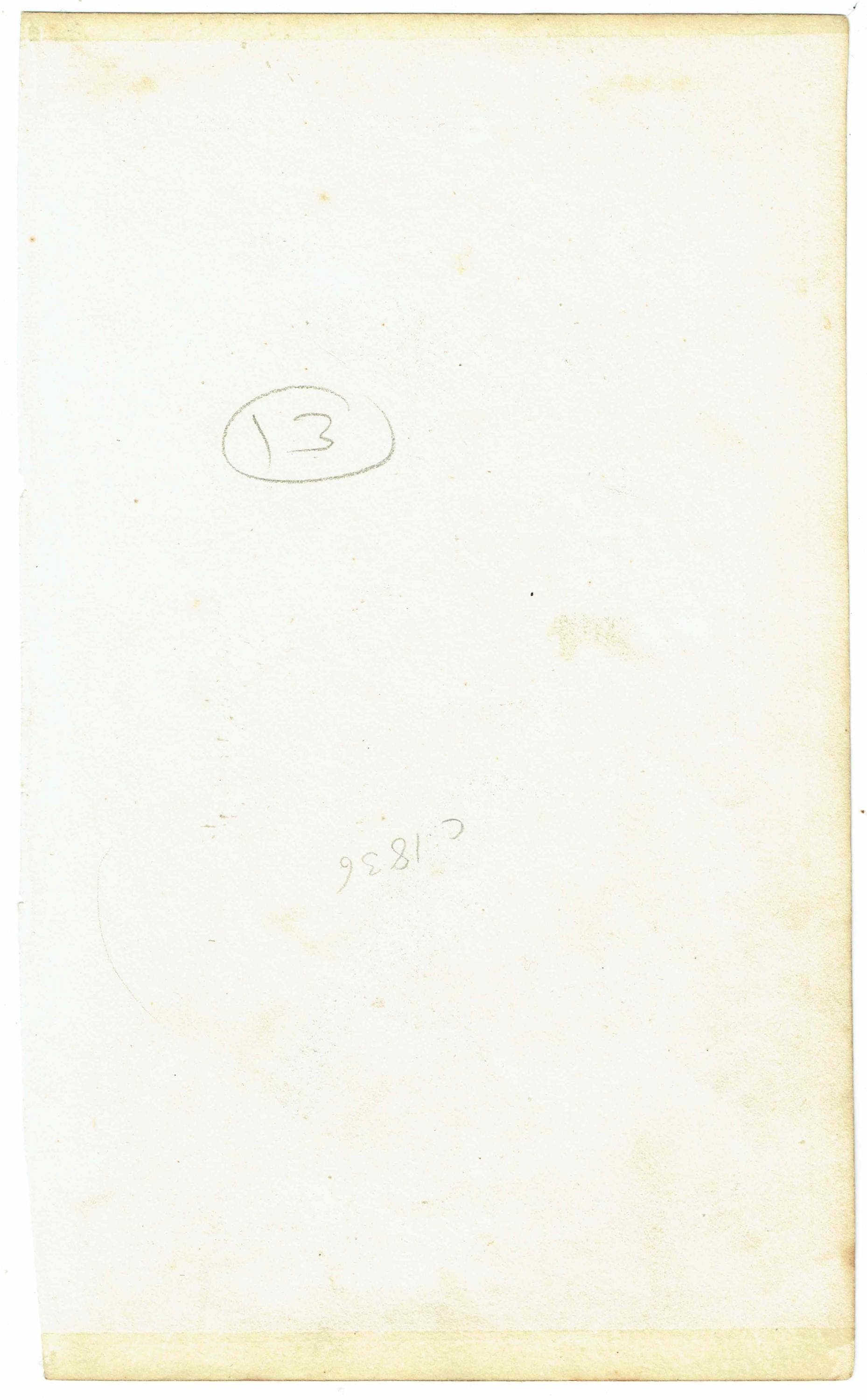 c.1836 Animal Kingdom Aves Pl.61 Antique Bird Print - Blue-headed Tanagra & White-necked Thrush - Hand Coloured Ornithology - 8.5 x 5 in - Image 5