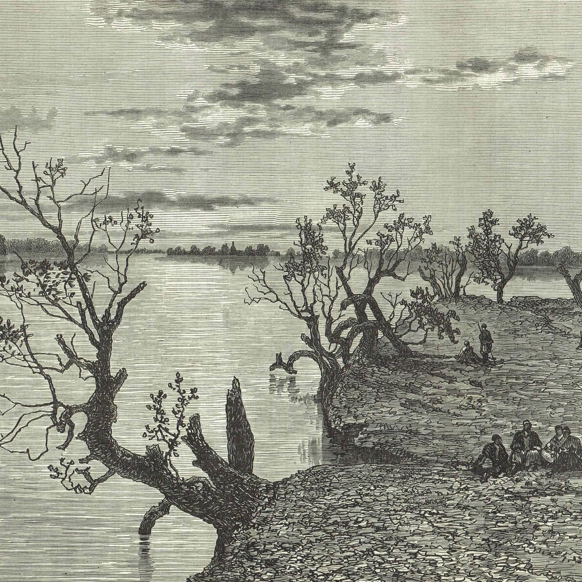 1870s Original Tropical River Gash Landscape - Victorian Travel Book Original Woodblock  Print - Nature Print - 12 x 8.5 in - Image 3