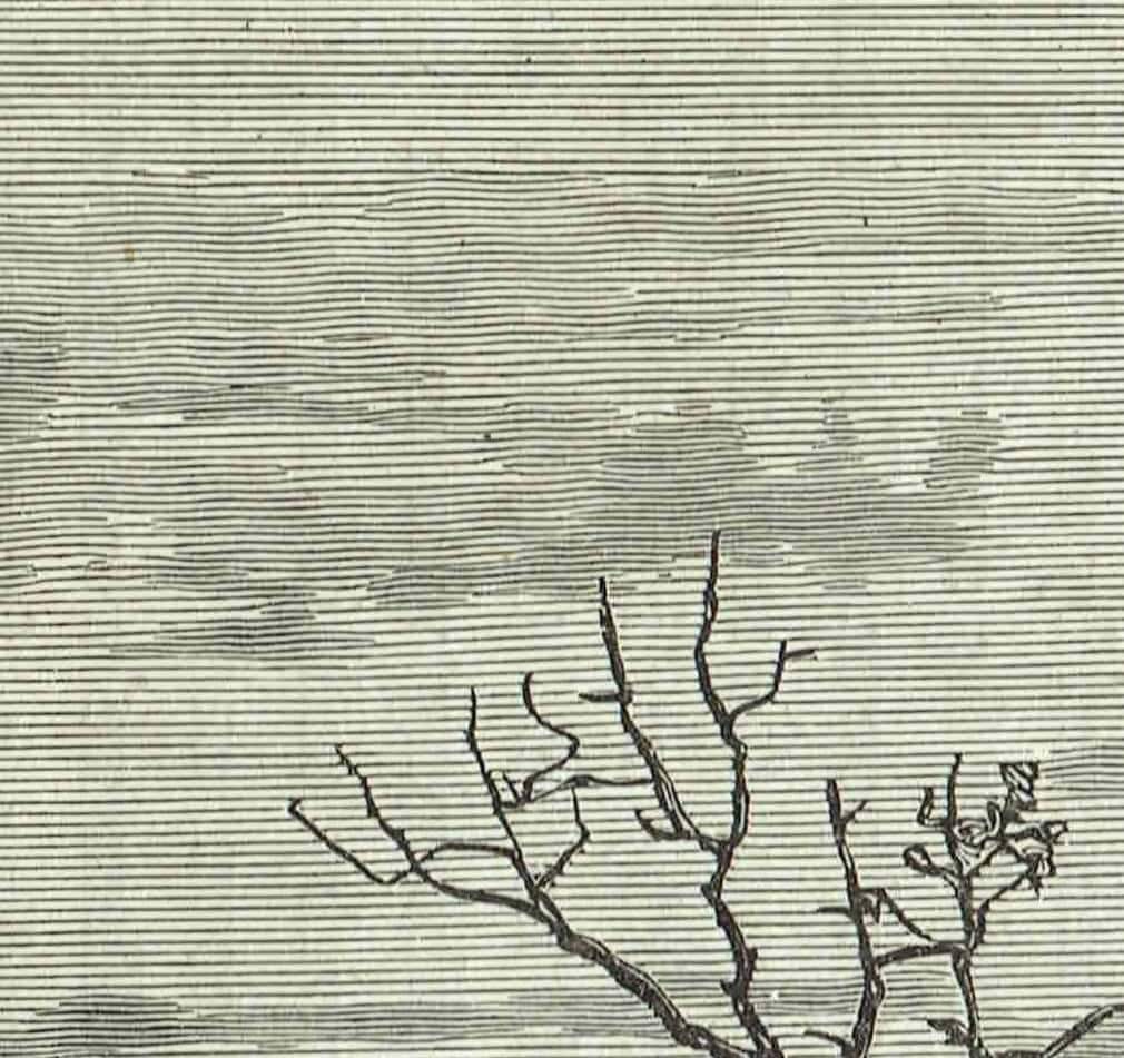 1870s Original Tropical River Gash Landscape - Victorian Travel Book Original Woodblock  Print - Nature Print - 12 x 8.5 in - Image 4