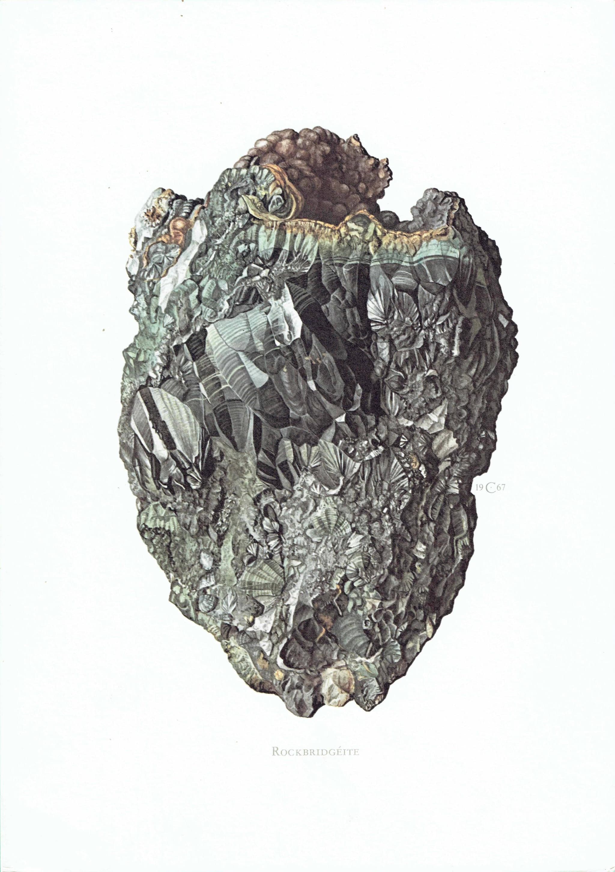 1969 Rockbridgeite Mineral - Original Vintage Print By Caspari - Scientific Natural History Geology Study Art - 7.5 x 10.5 in - Image 2