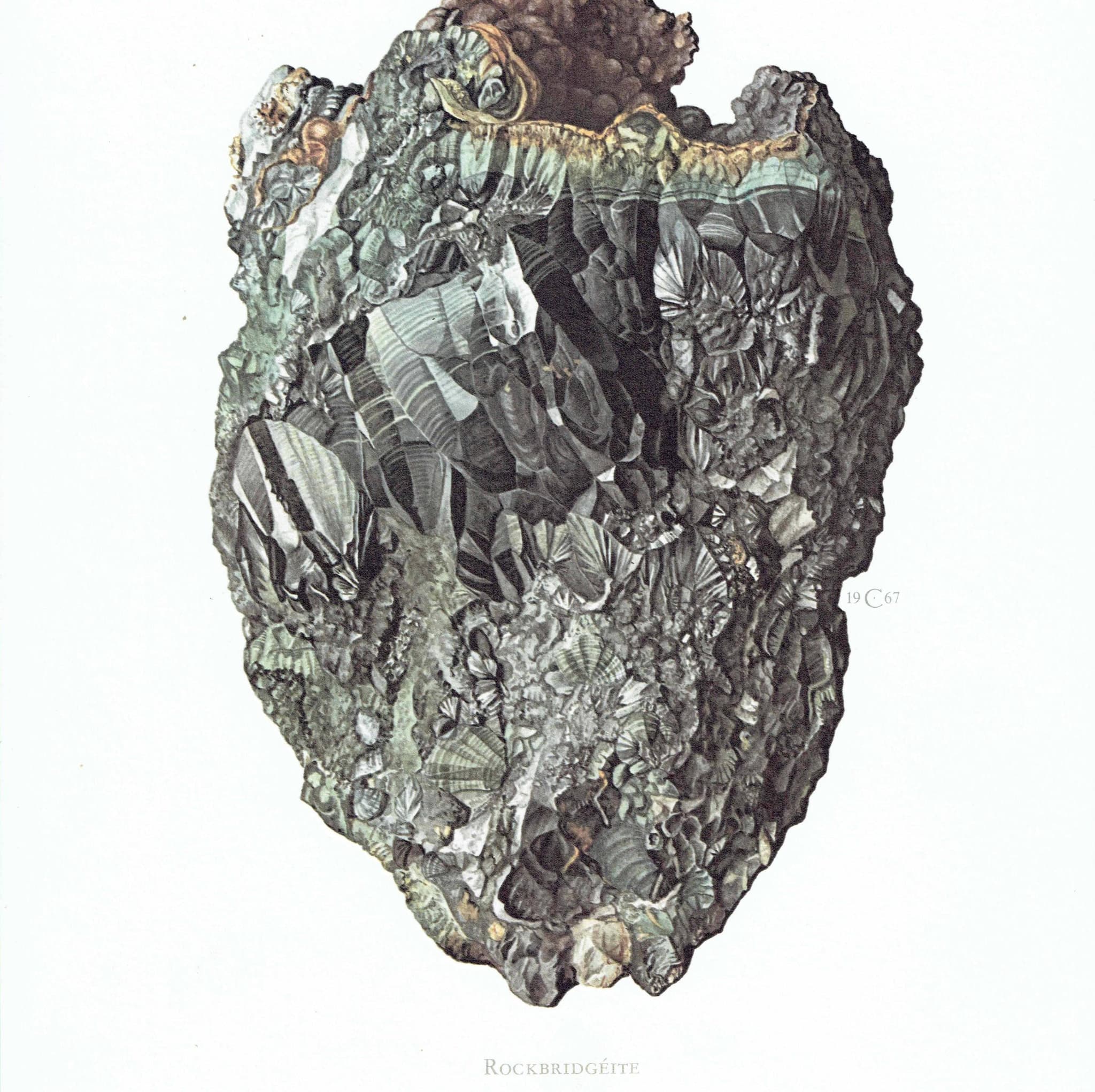 1969 Rockbridgeite Mineral - Original Vintage Print By Caspari - Scientific Natural History Geology Study Art - 7.5 x 10.5 in - Image 3