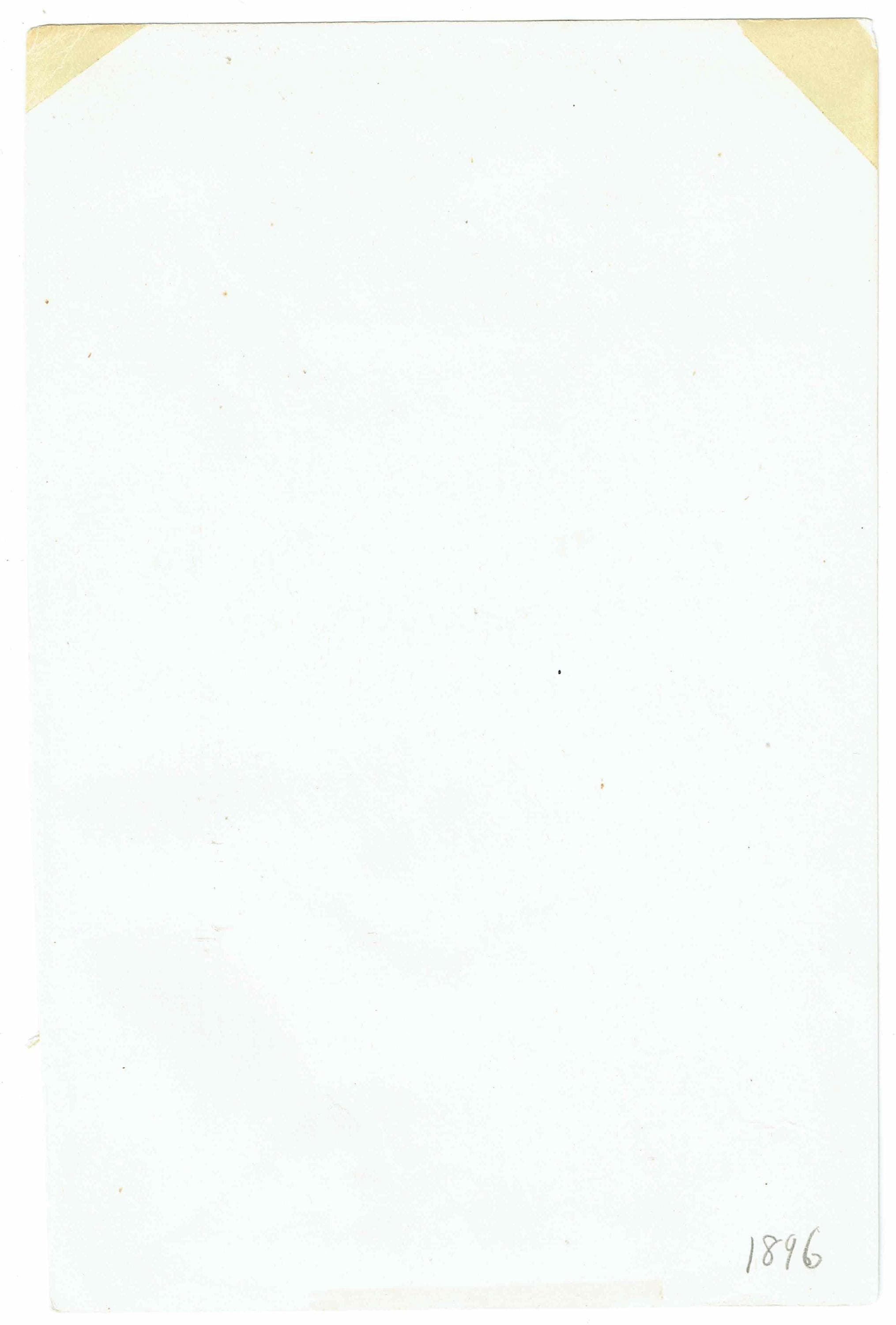 1896 Antique Moth Print - Composia credula, Anthomyza teresias, Calodesma temperata - Moth species - Entomology Wall Art - 7 x 4.5 in - Image 5